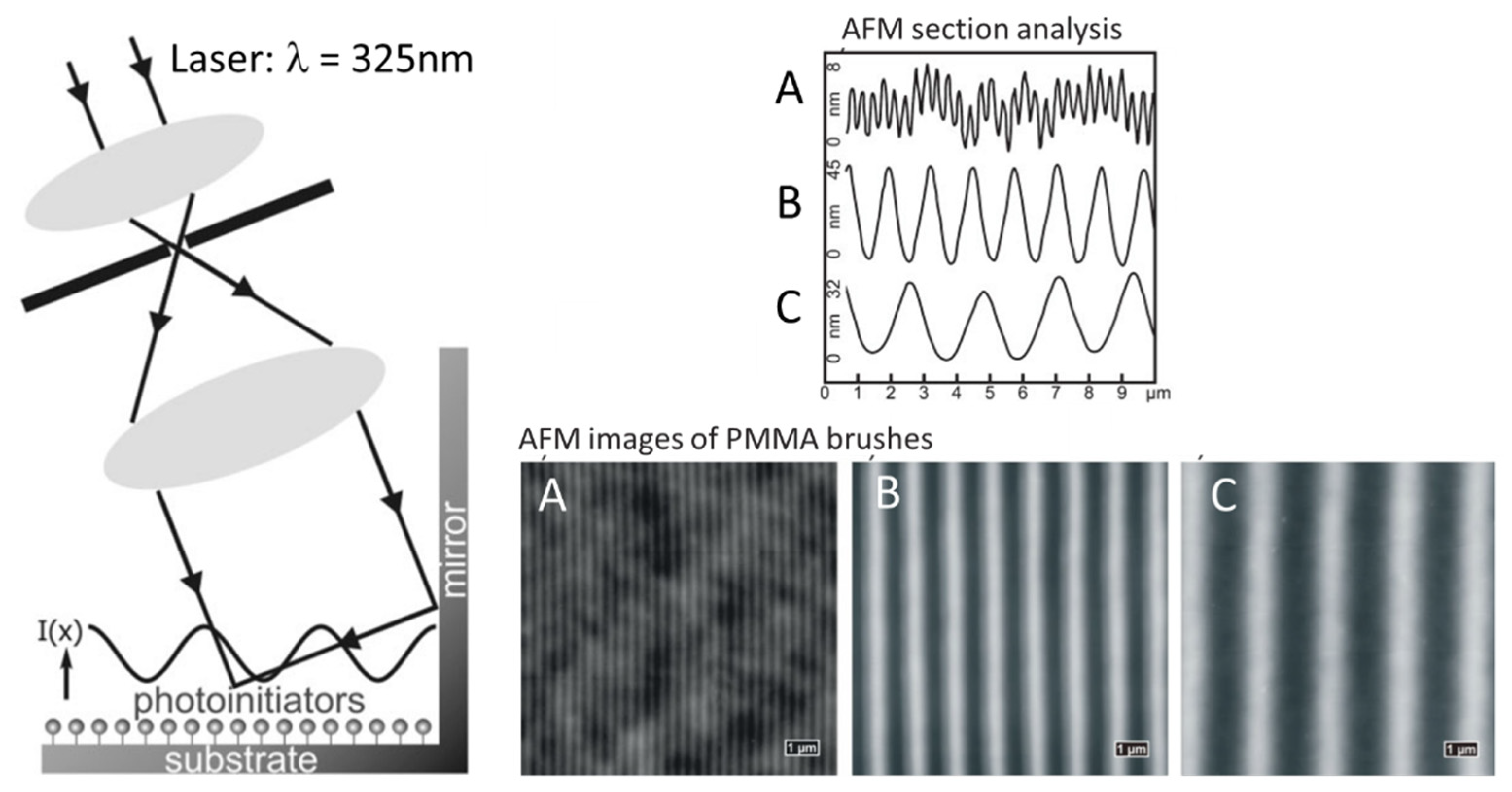 Polymers 14 00608 g004