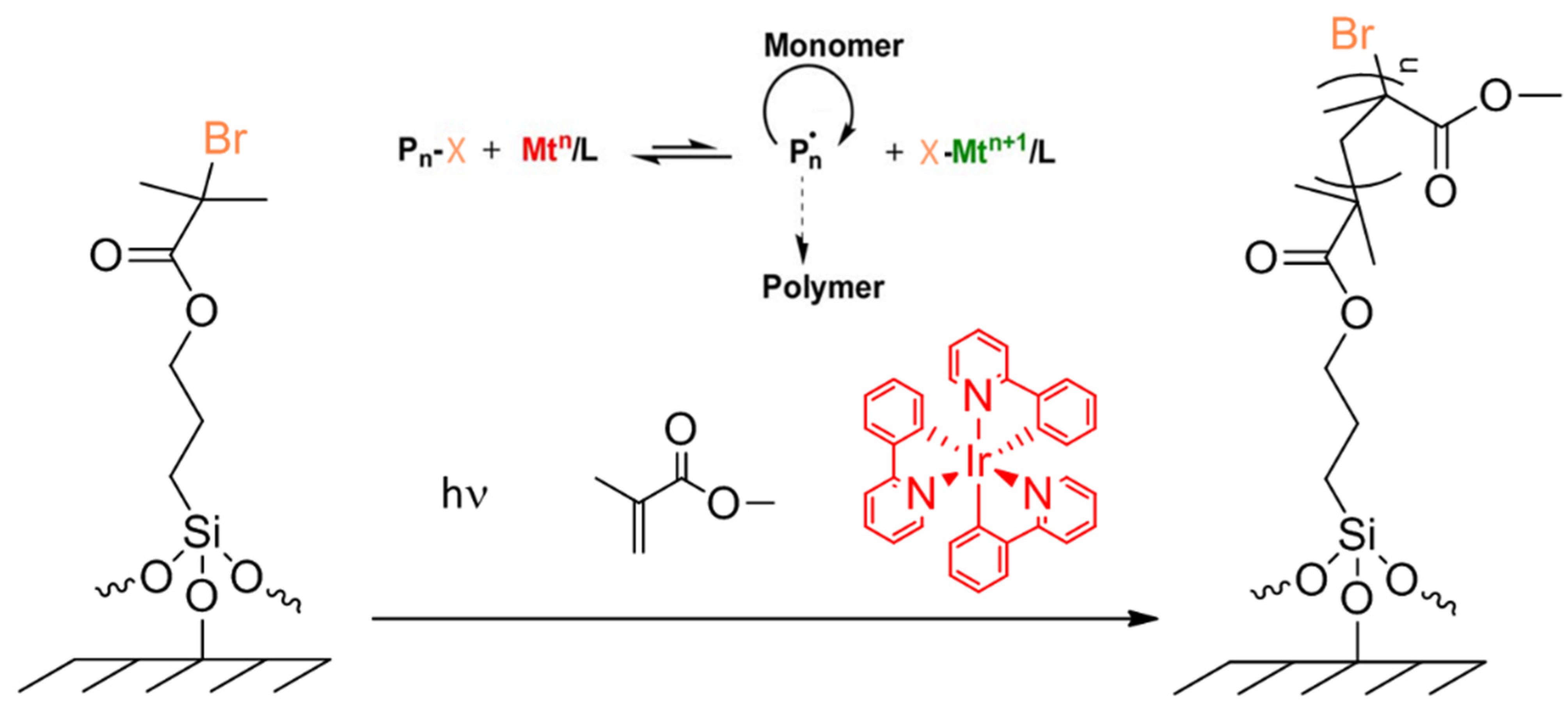 Polymers 14 00608 g011