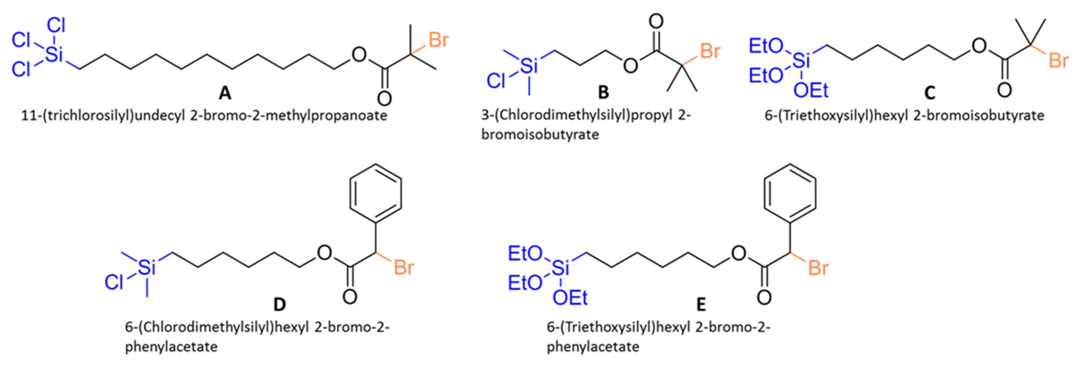 Polymers 14 00608 g012
