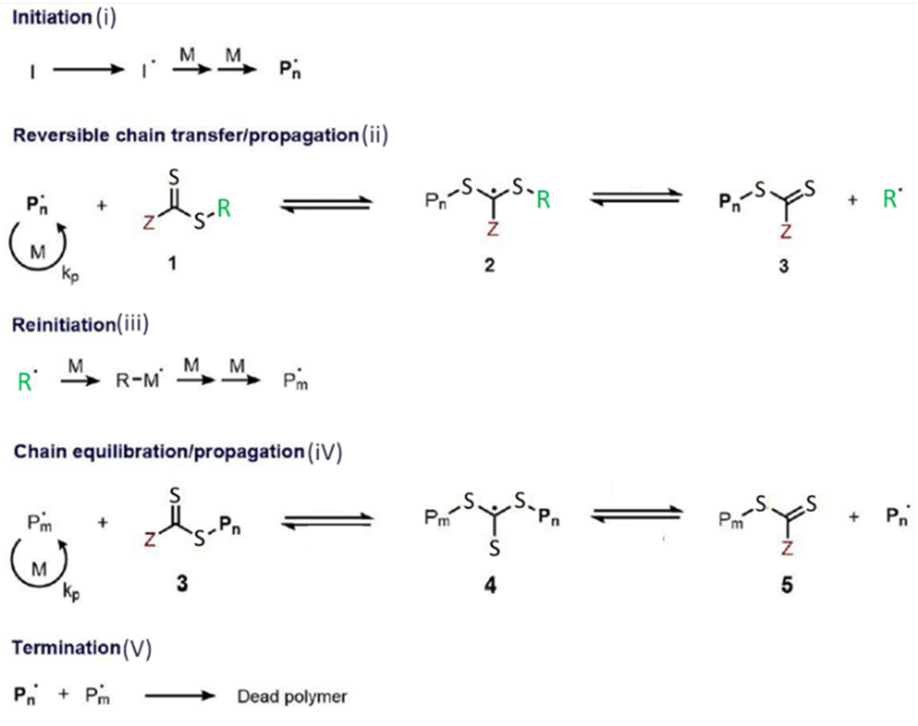 Polymers 14 00608 g013