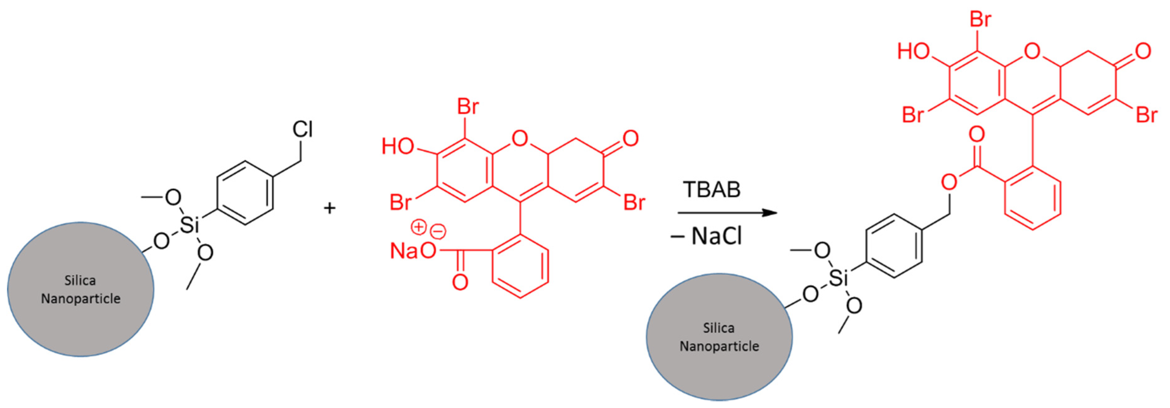 Polymers 14 00608 sch006