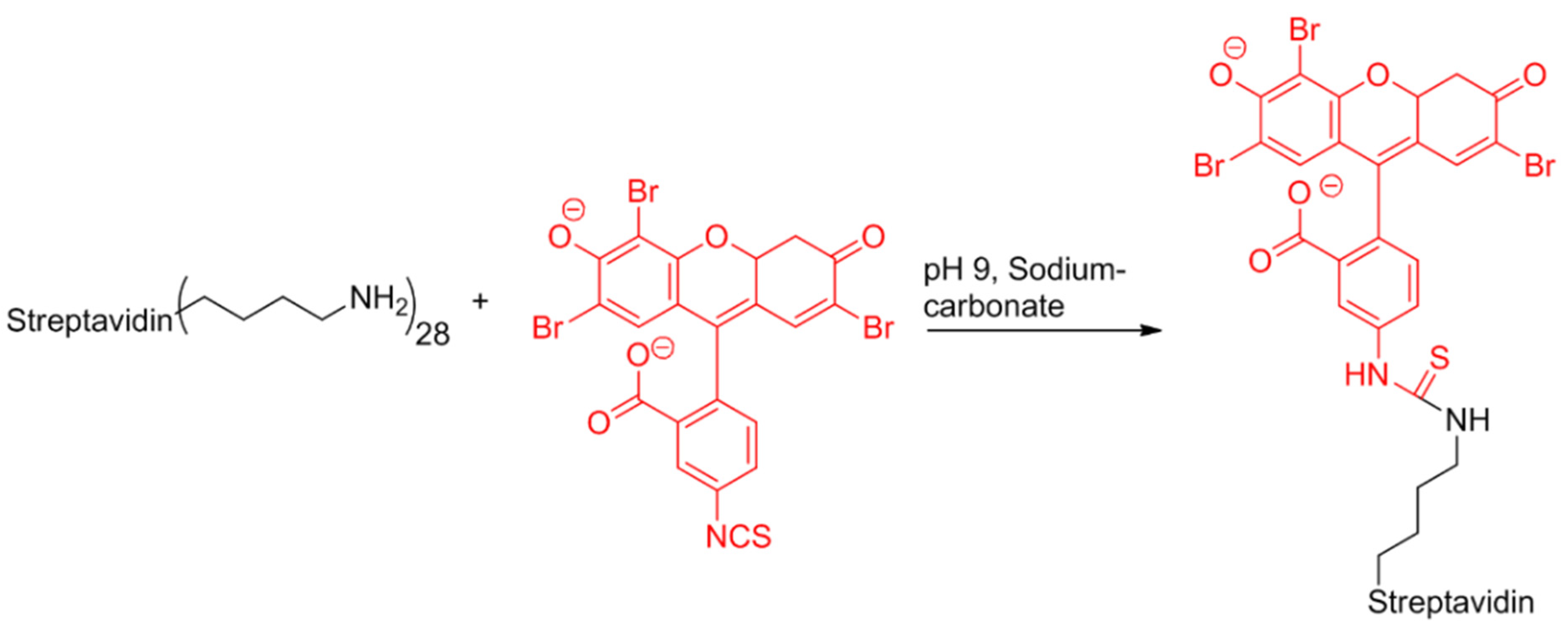 Polymers 14 00608 sch007