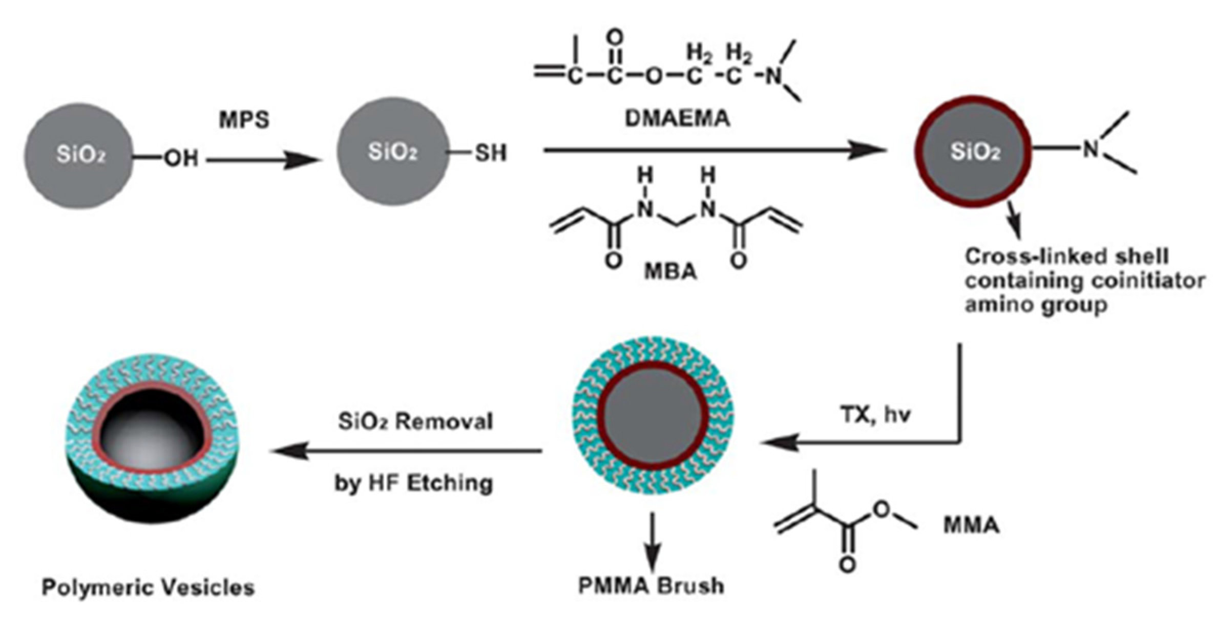 Polymers 14 00608 sch013