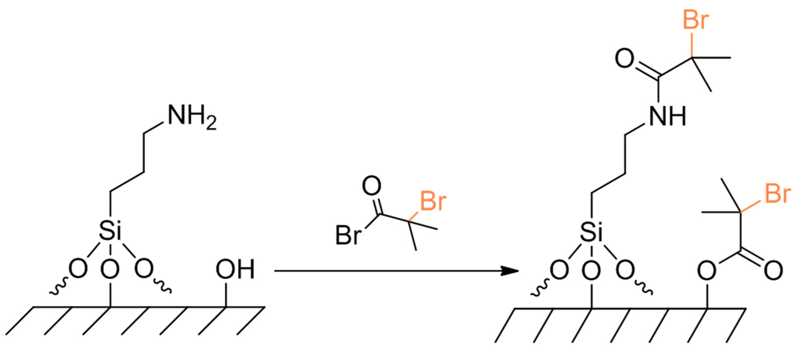 Polymers 14 00608 sch015