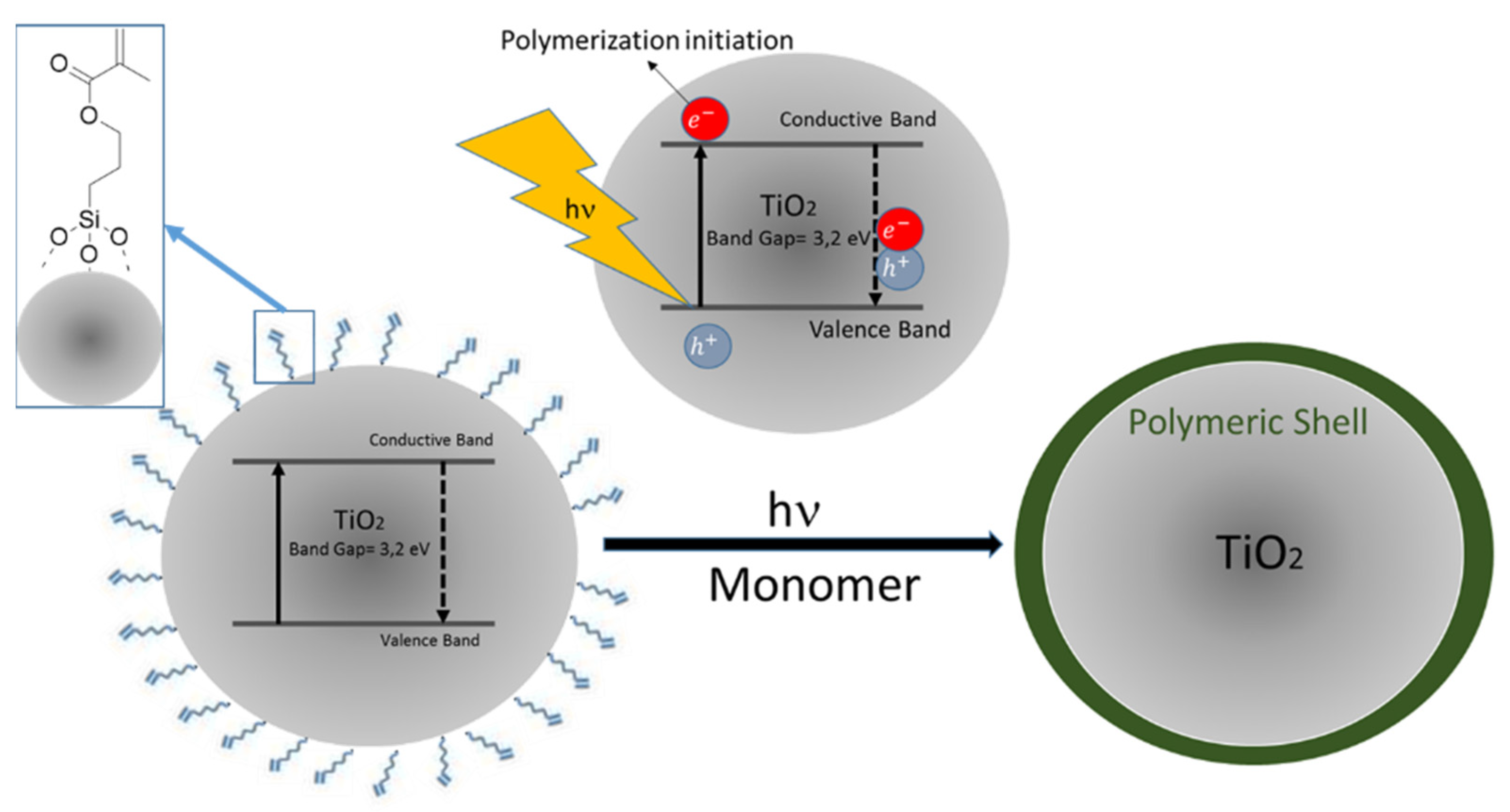 Polymers 14 00608 sch017