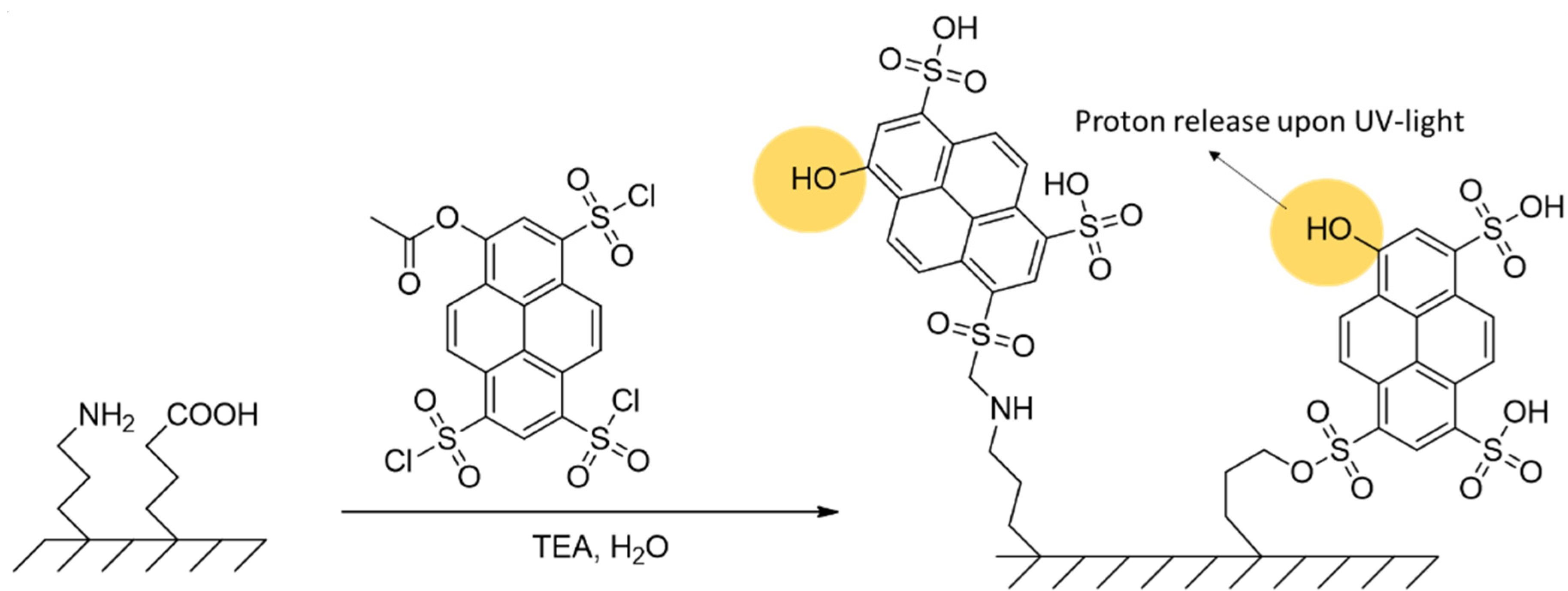 Polymers 14 00608 sch019