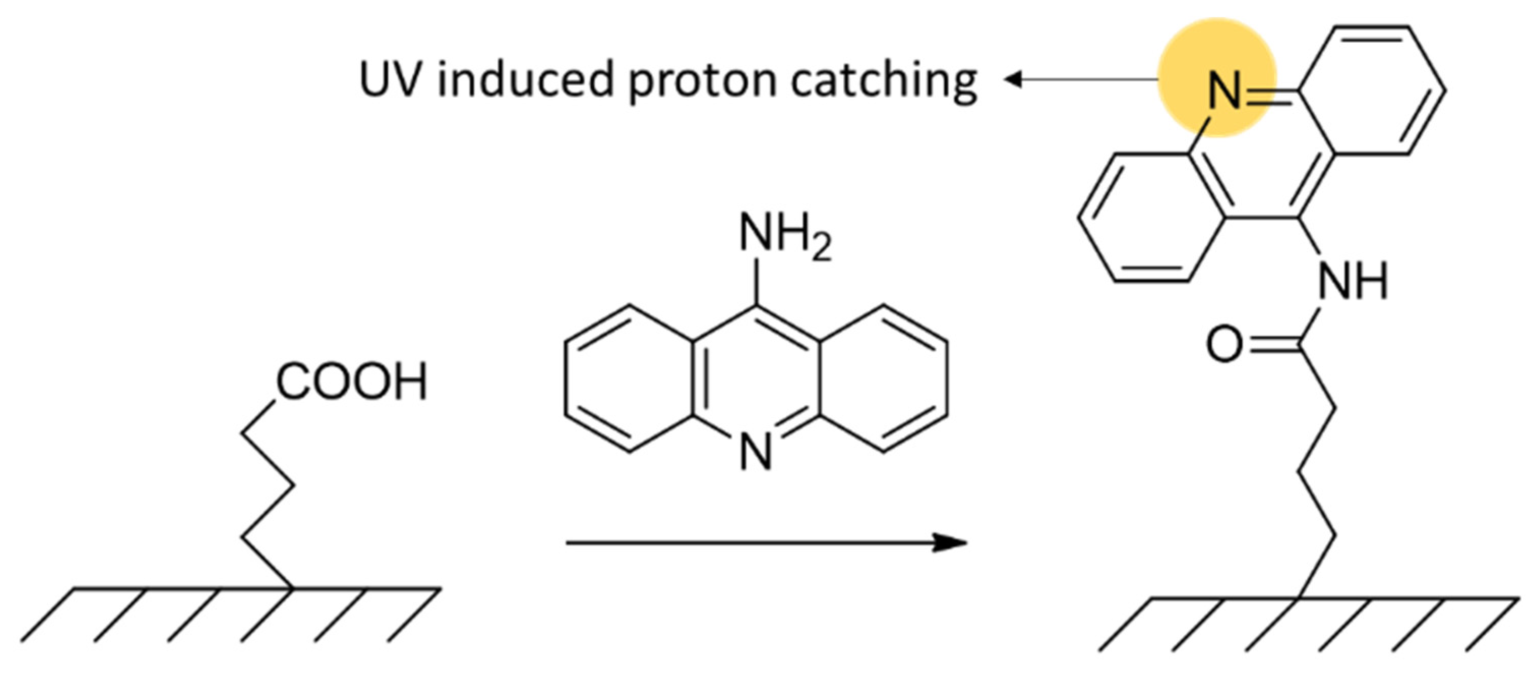 Polymers 14 00608 sch020