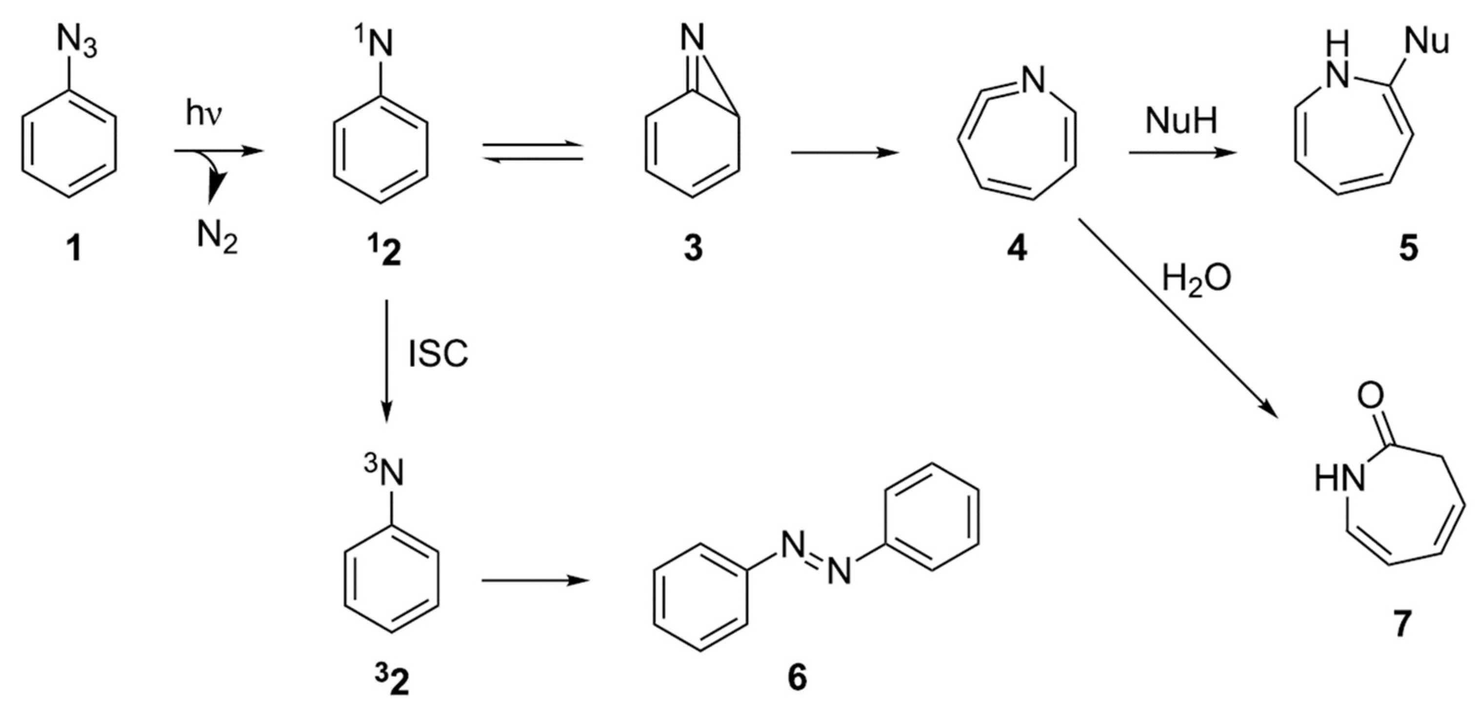 Polymers 14 00608 sch021