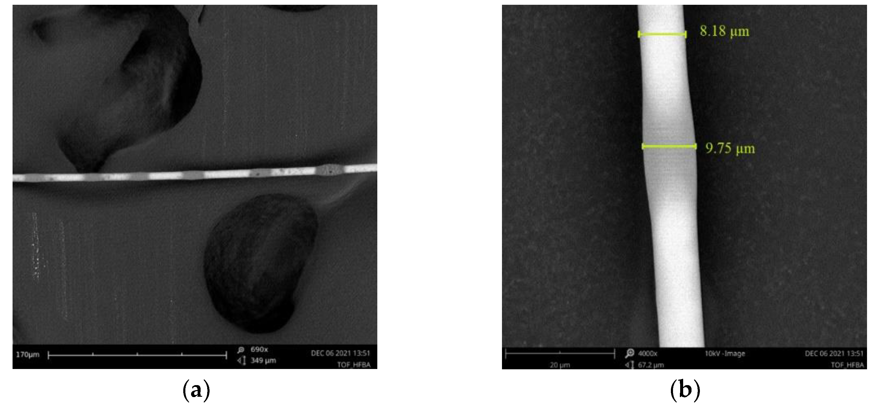 Polymers 14 00612 g007 Polymers 14 00612 g007