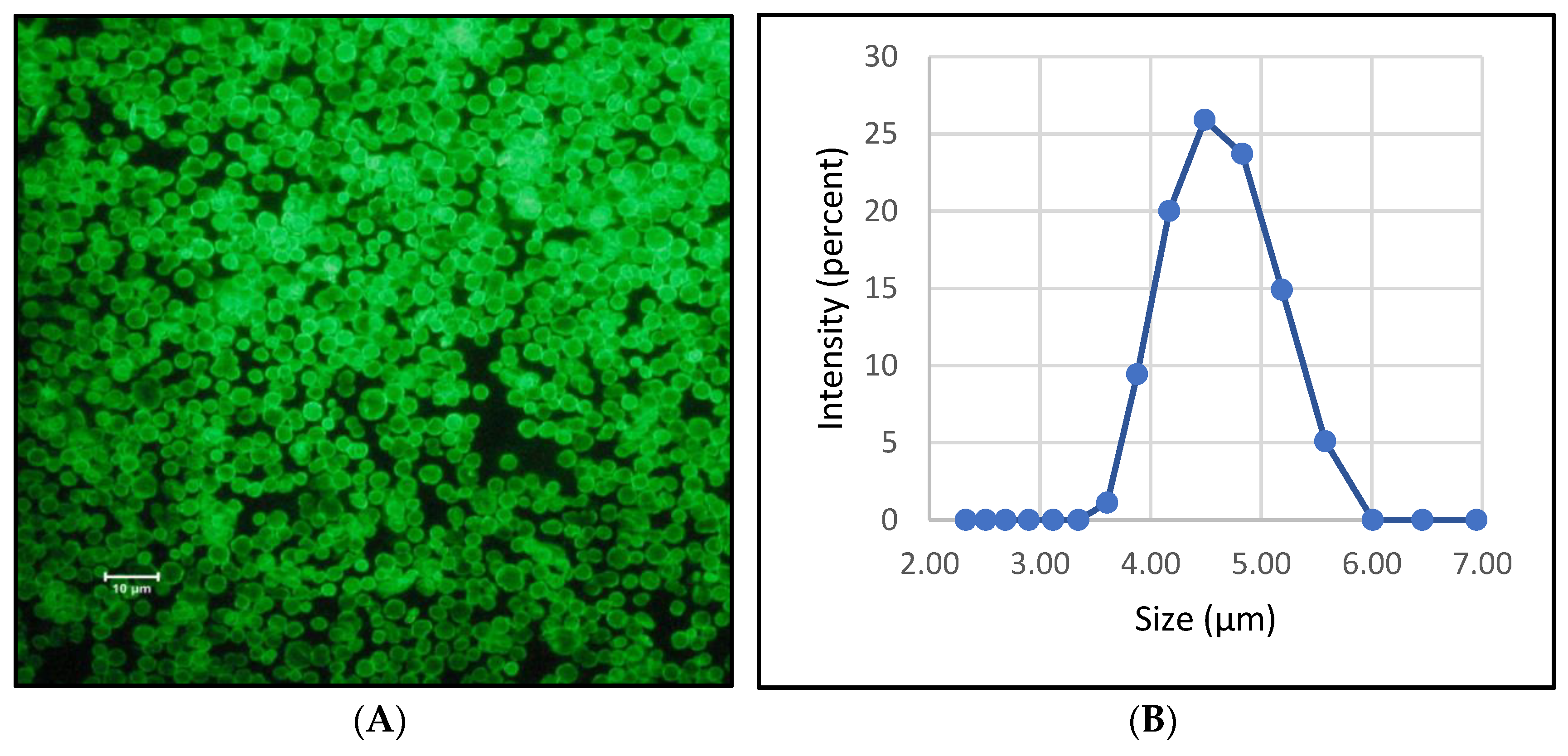 Polymers 14 00613 g005