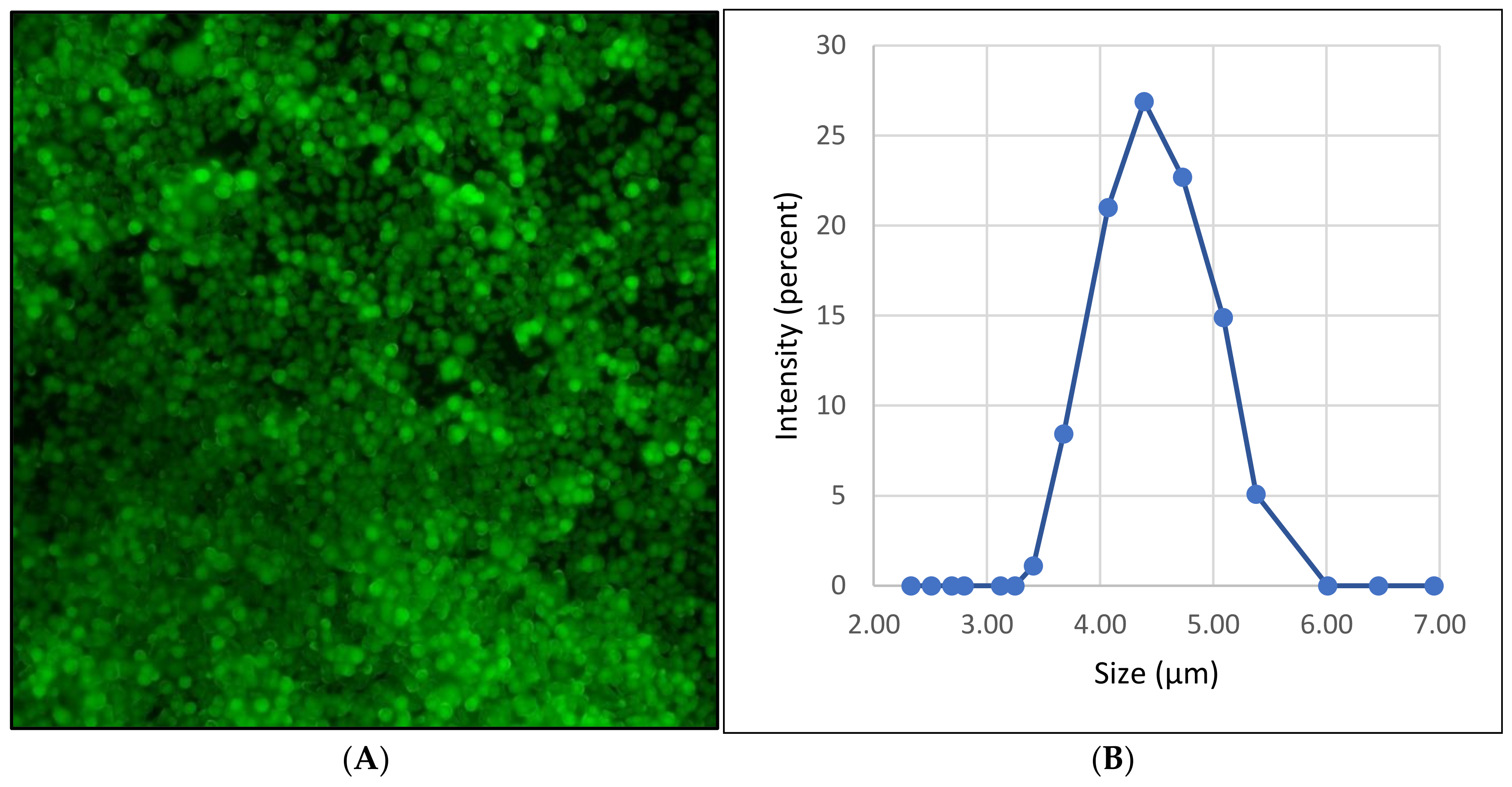 Polymers 14 00613 g007