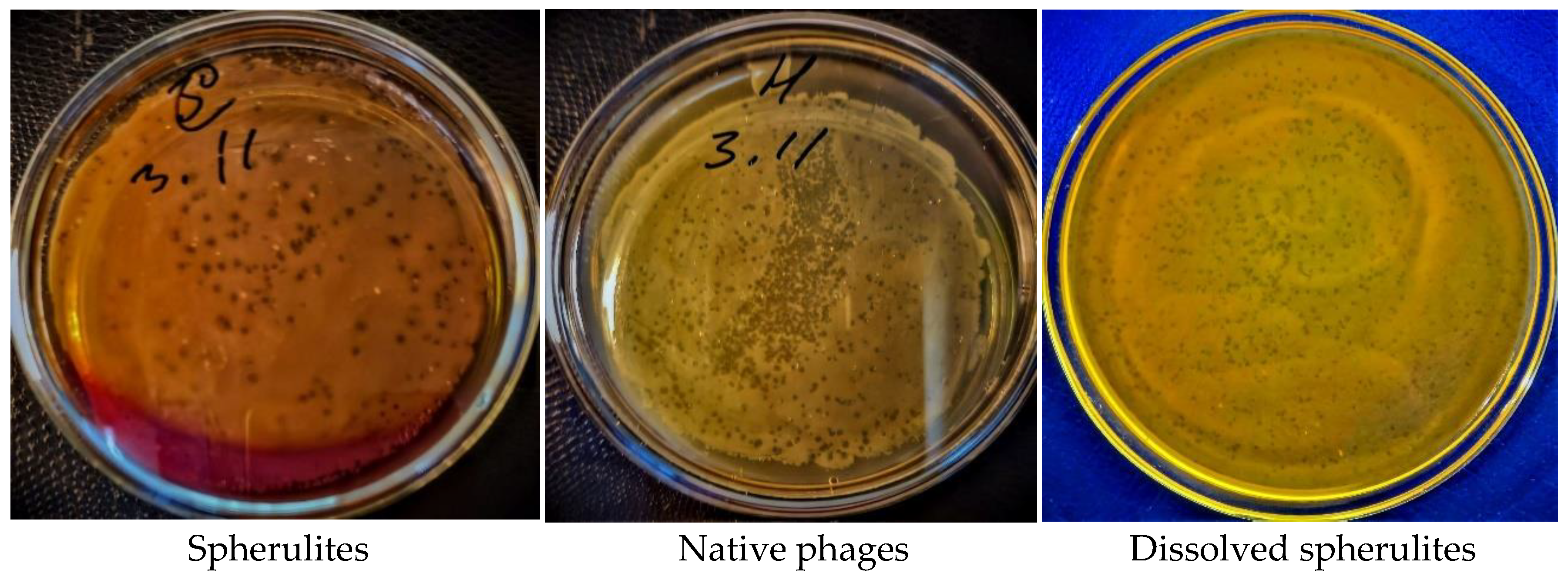 Polymers 14 00613 g009