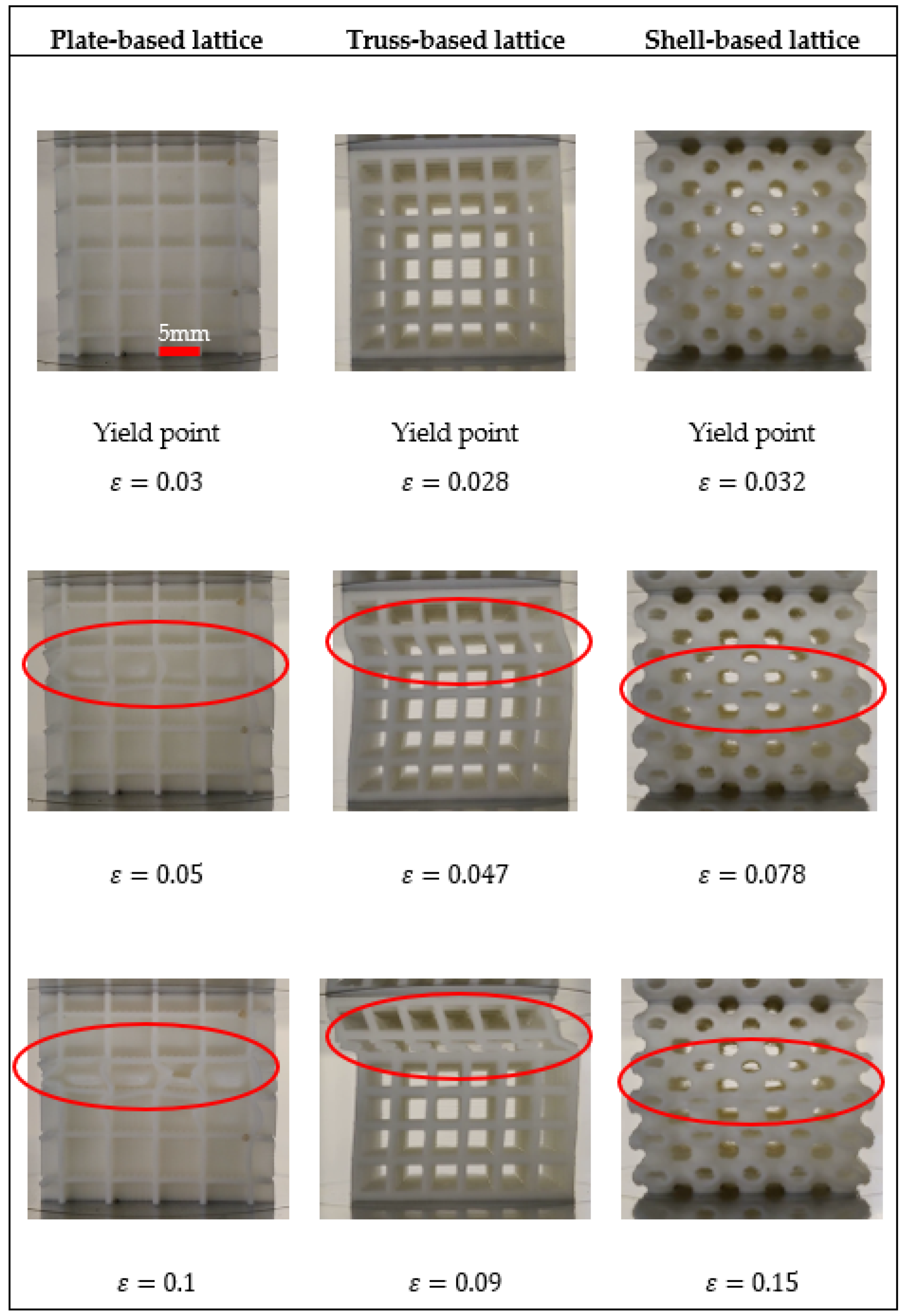 Polymers 14 00618 g003
