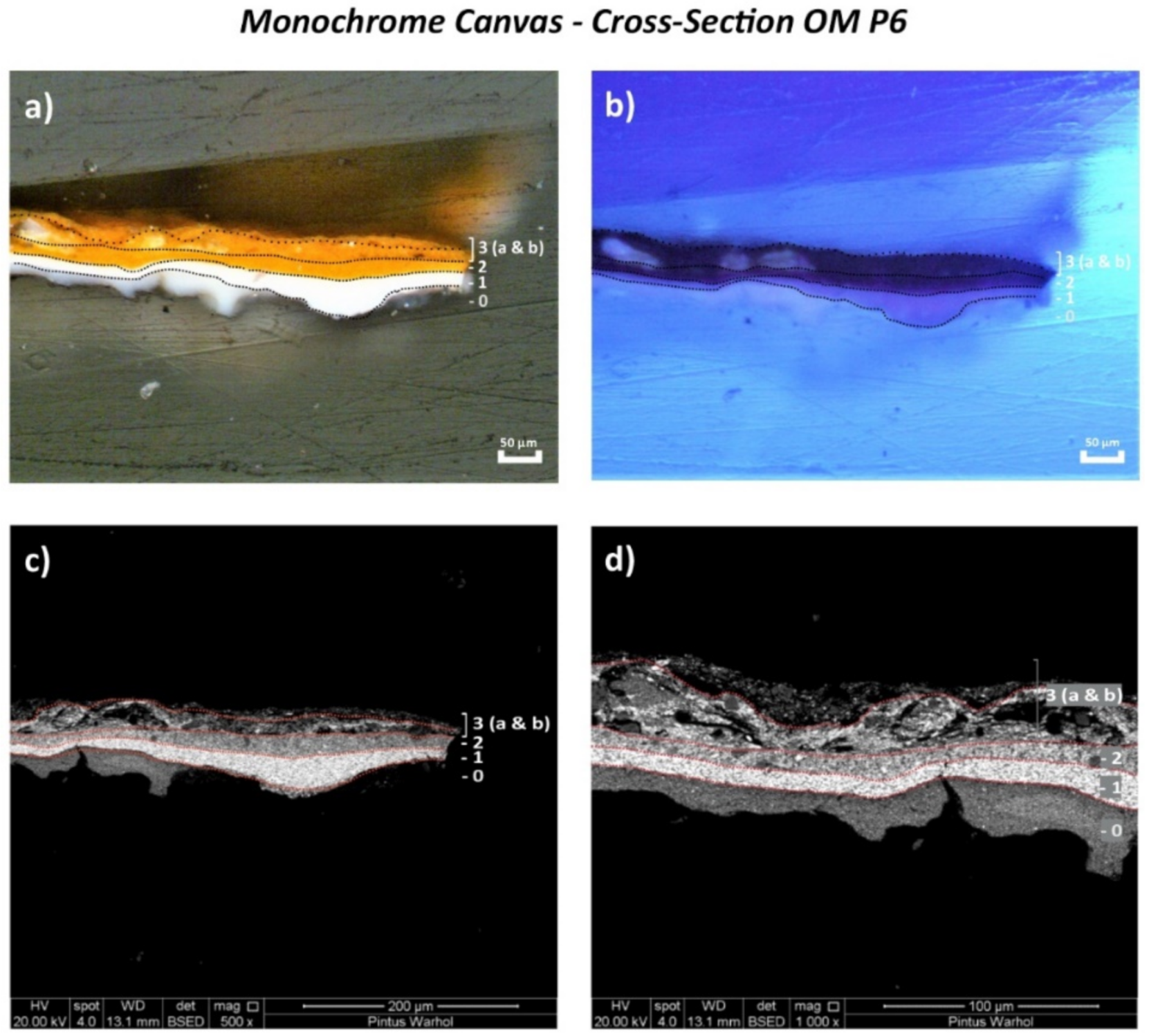 Polymers 14 00633 g003