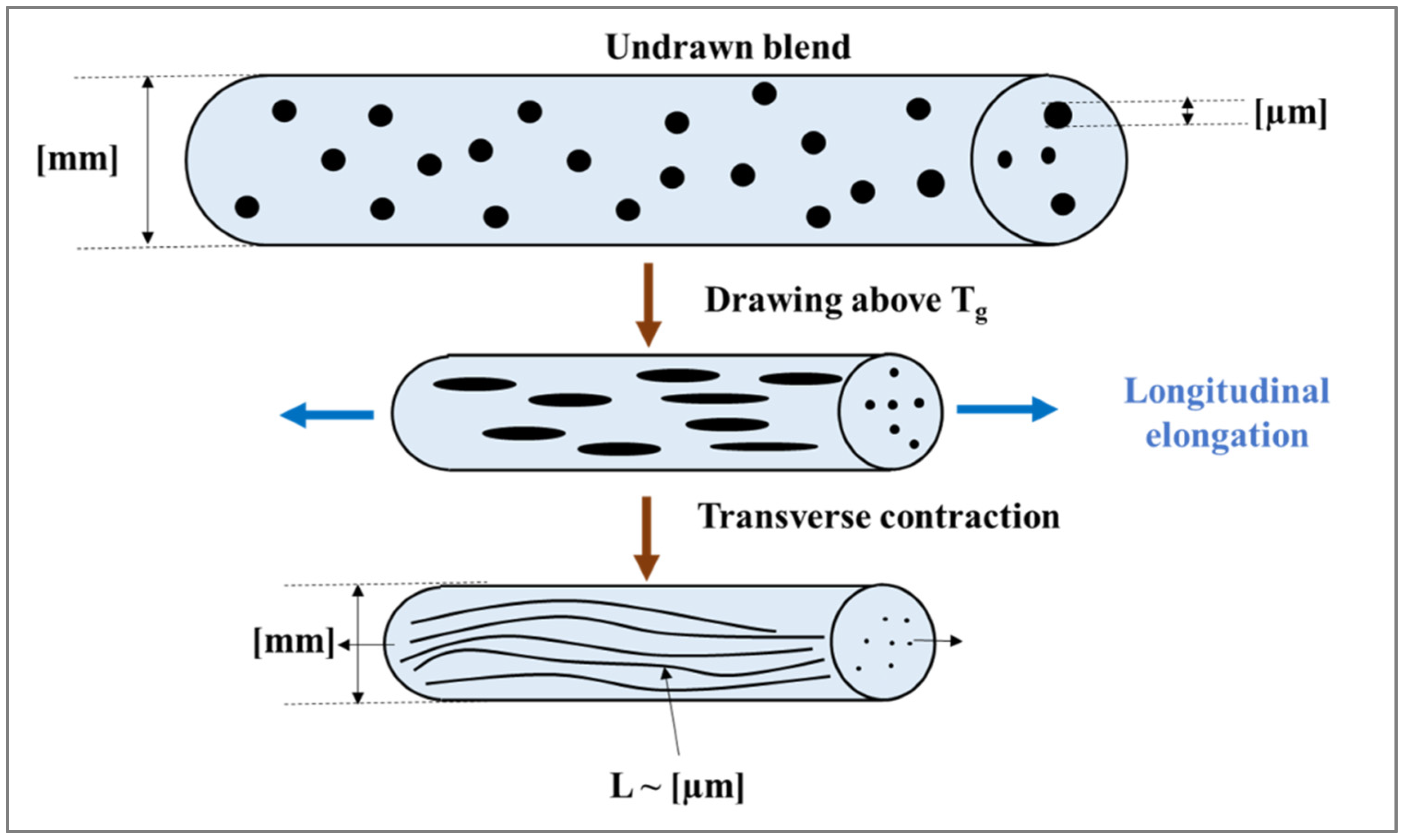 Polymers 14 00637 g022 Polymers 14 00637 g022