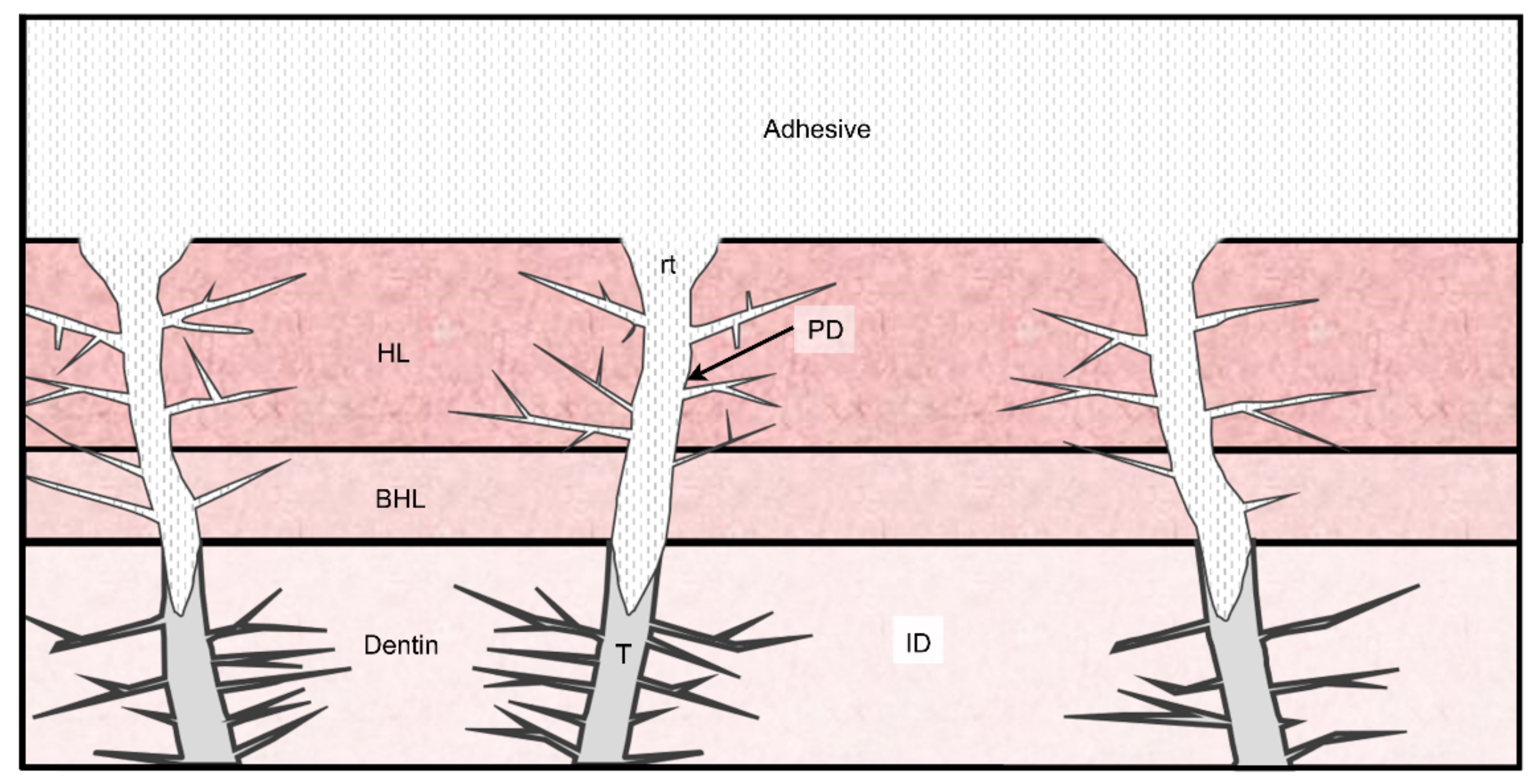 Polymers 14 00642 g001 Polymers 14 00642 g001