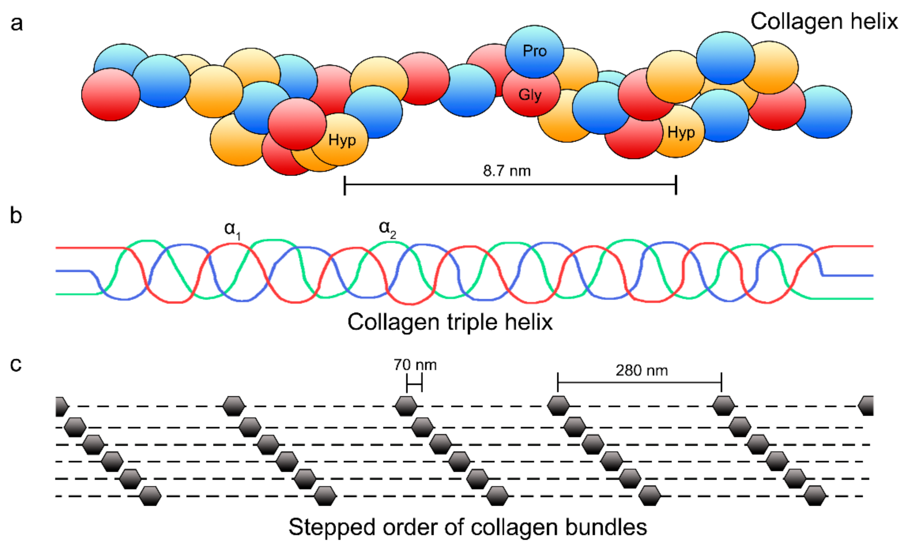 Polymers 14 00642 g002 Polymers 14 00642 g002