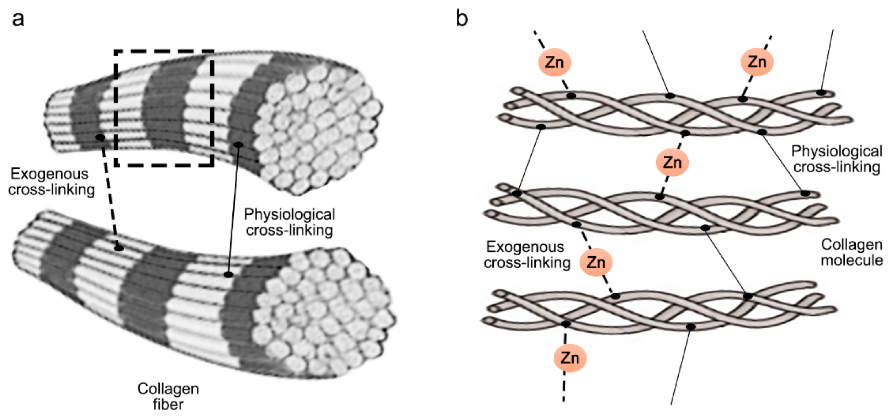 Polymers 14 00642 g007 Polymers 14 00642 g007