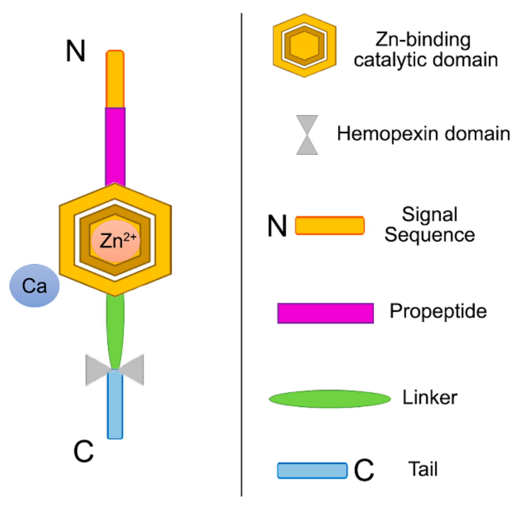 Polymers 14 00642 g008 Polymers 14 00642 g008