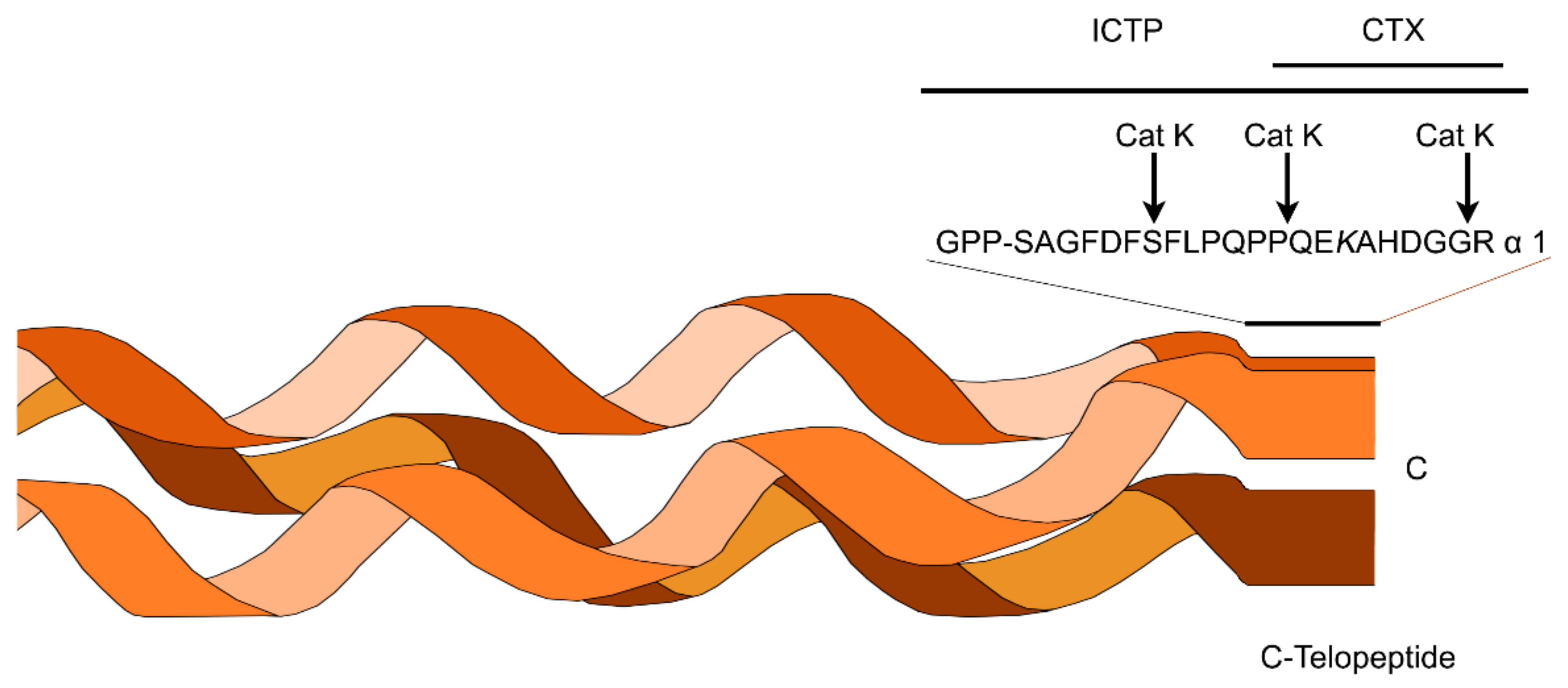 Polymers 14 00642 g009 Polymers 14 00642 g009