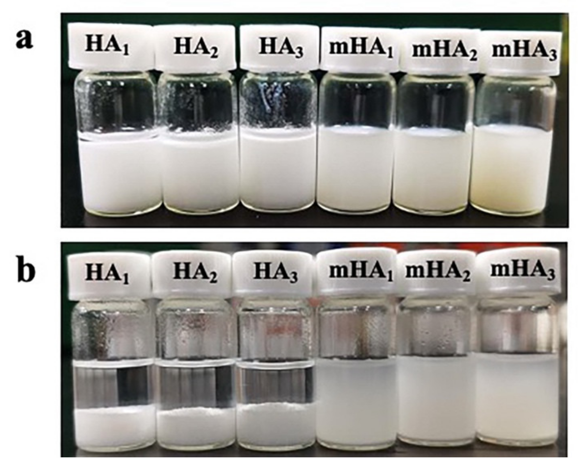 Polymers 14 00645 g002