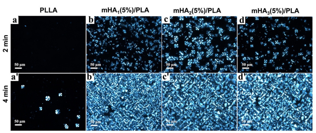 Polymers 14 00645 g005