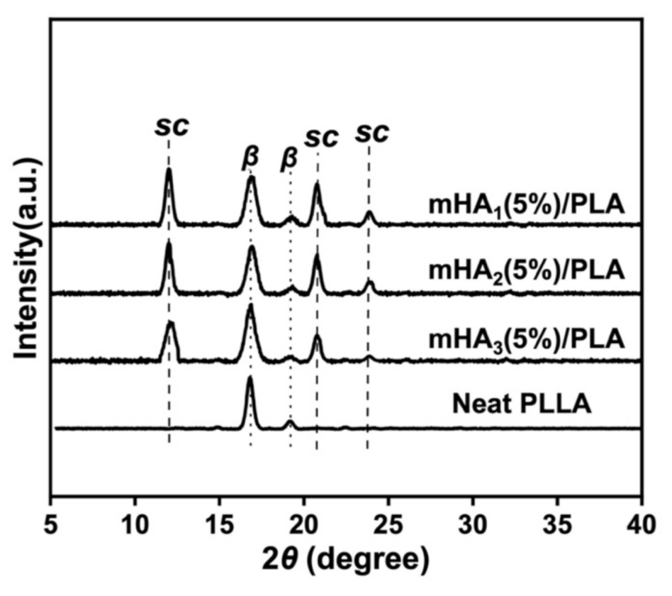 Polymers 14 00645 g007