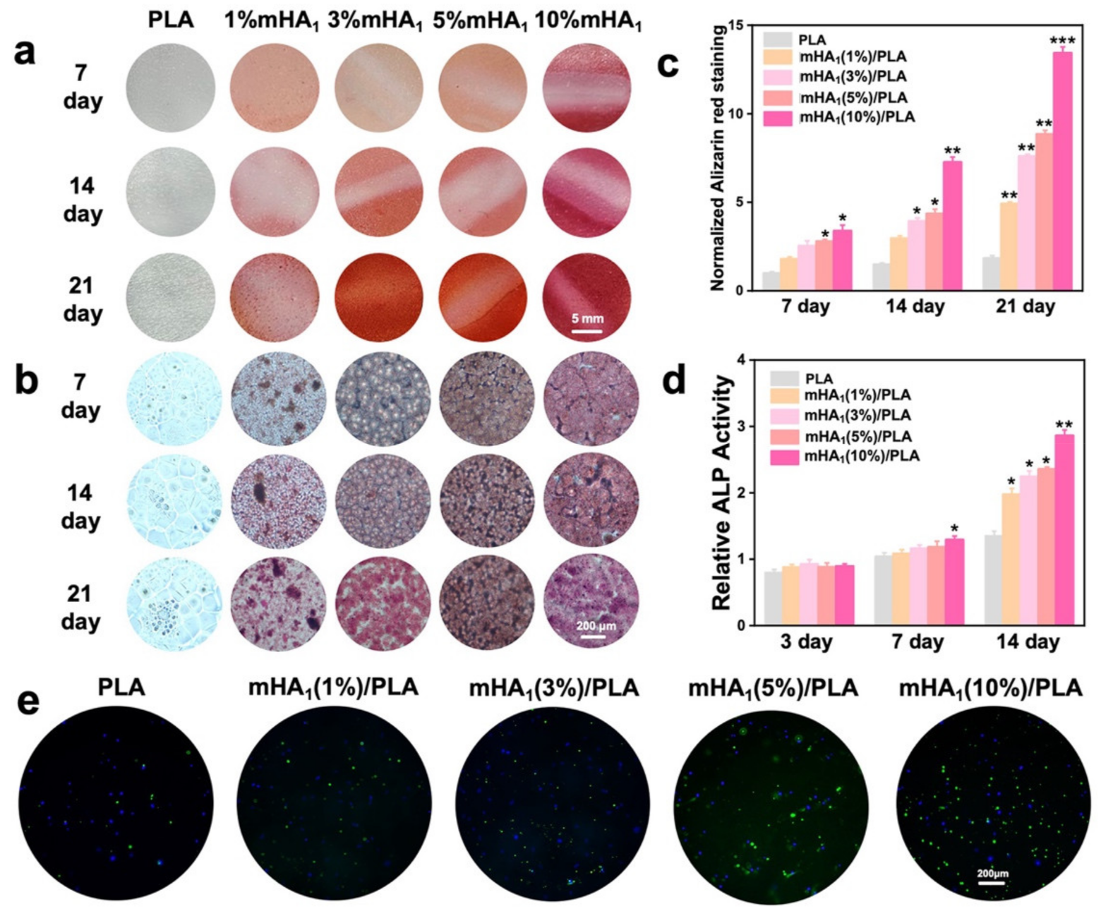 Polymers 14 00645 g012