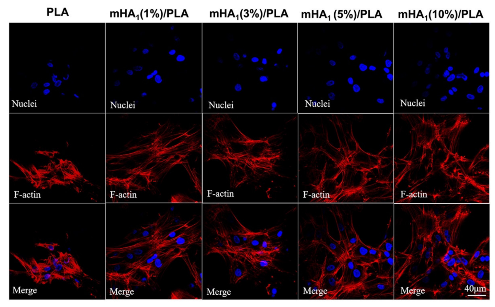 Polymers 14 00645 g013