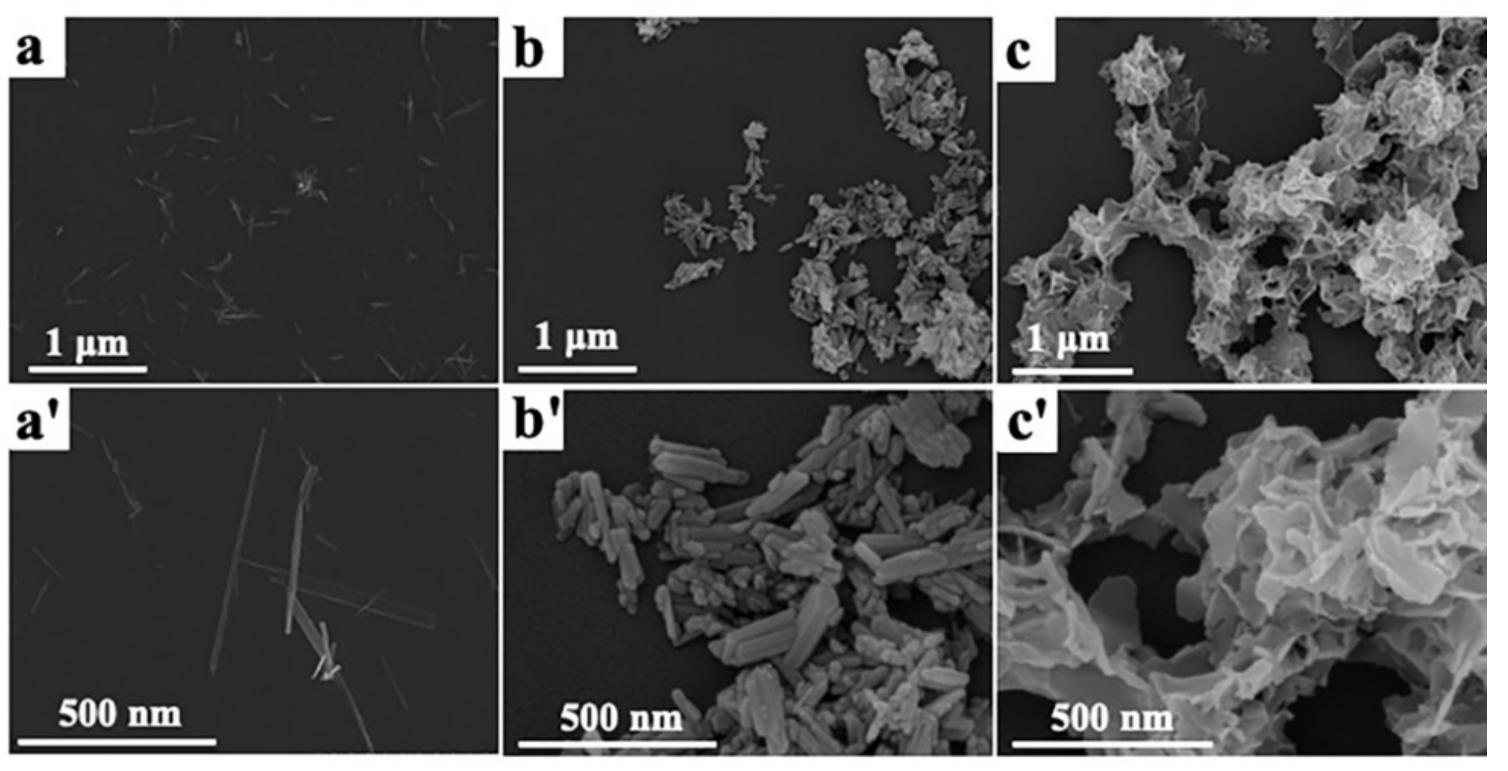 Polymers 14 00645 g0a1
