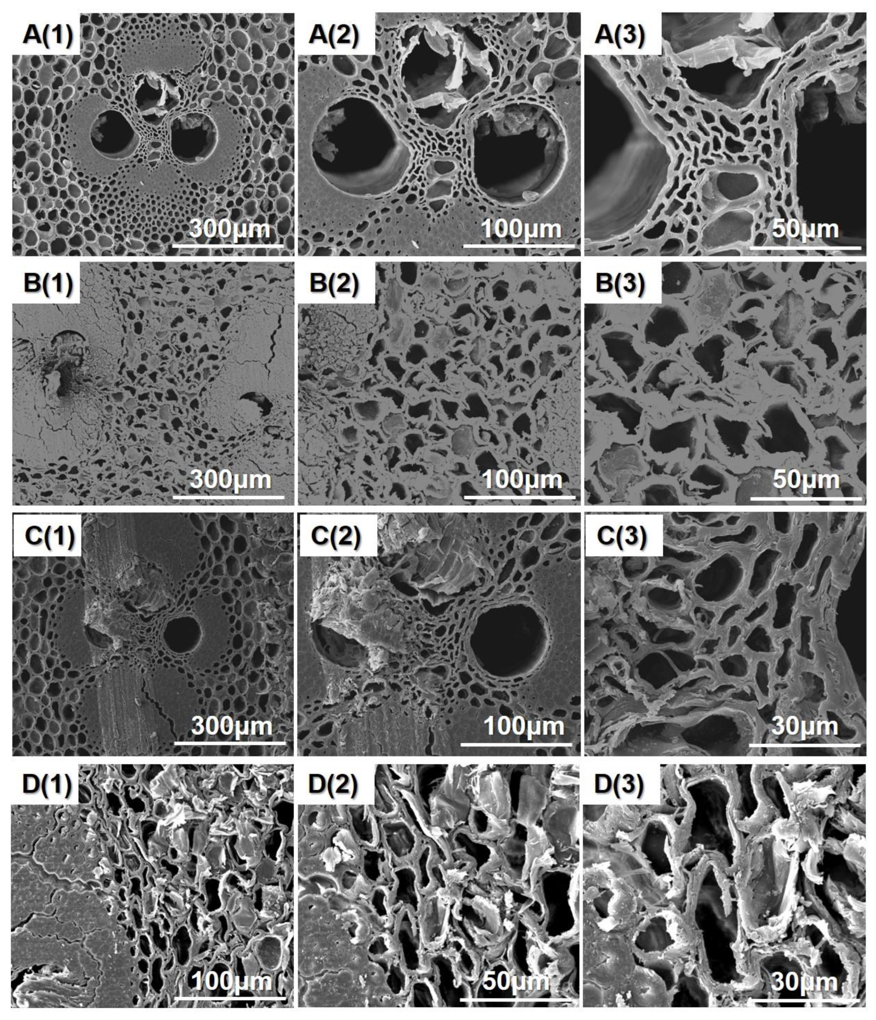 Polymers 14 00646 g002