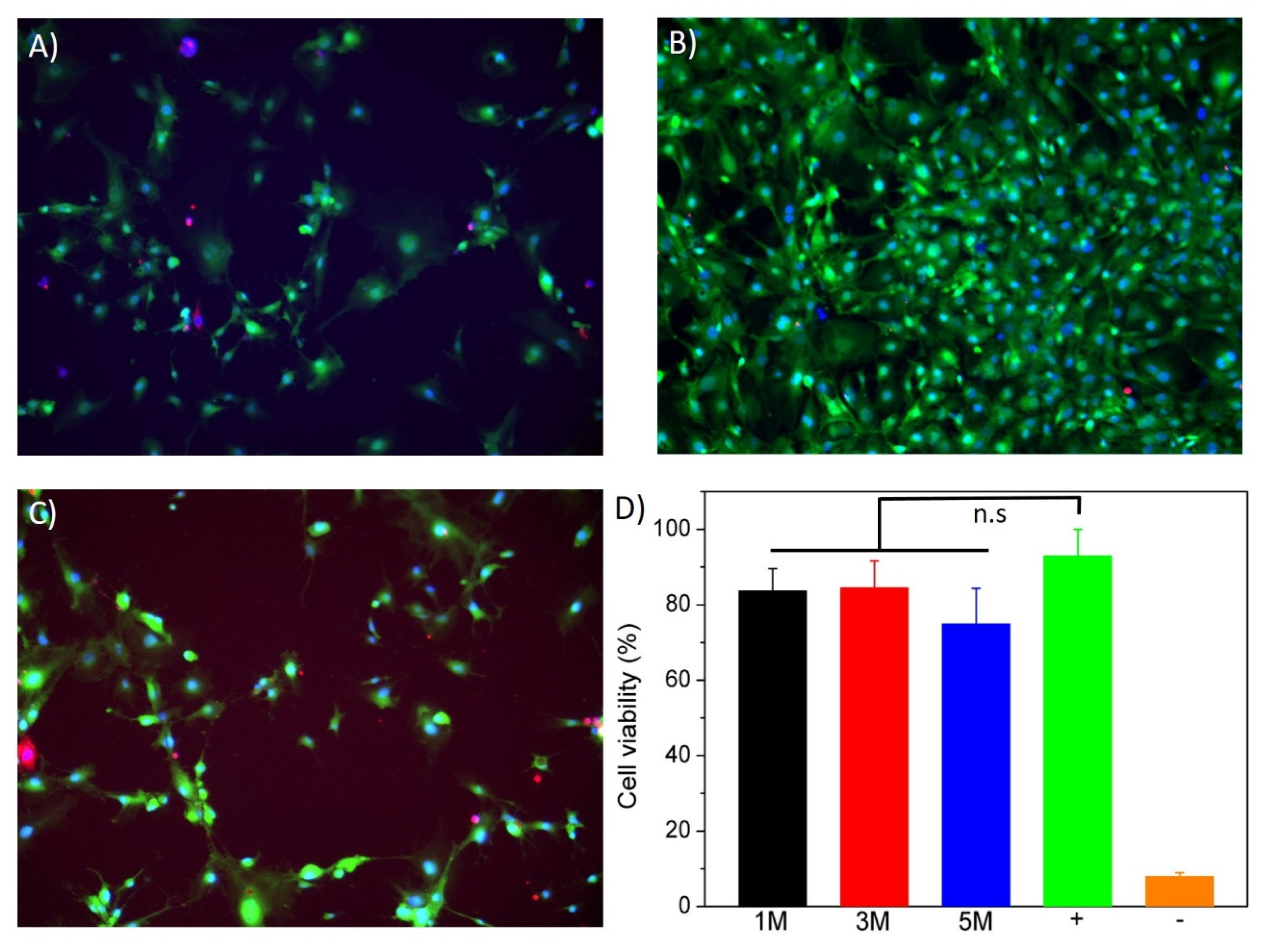 Polymers 14 00650 g007
