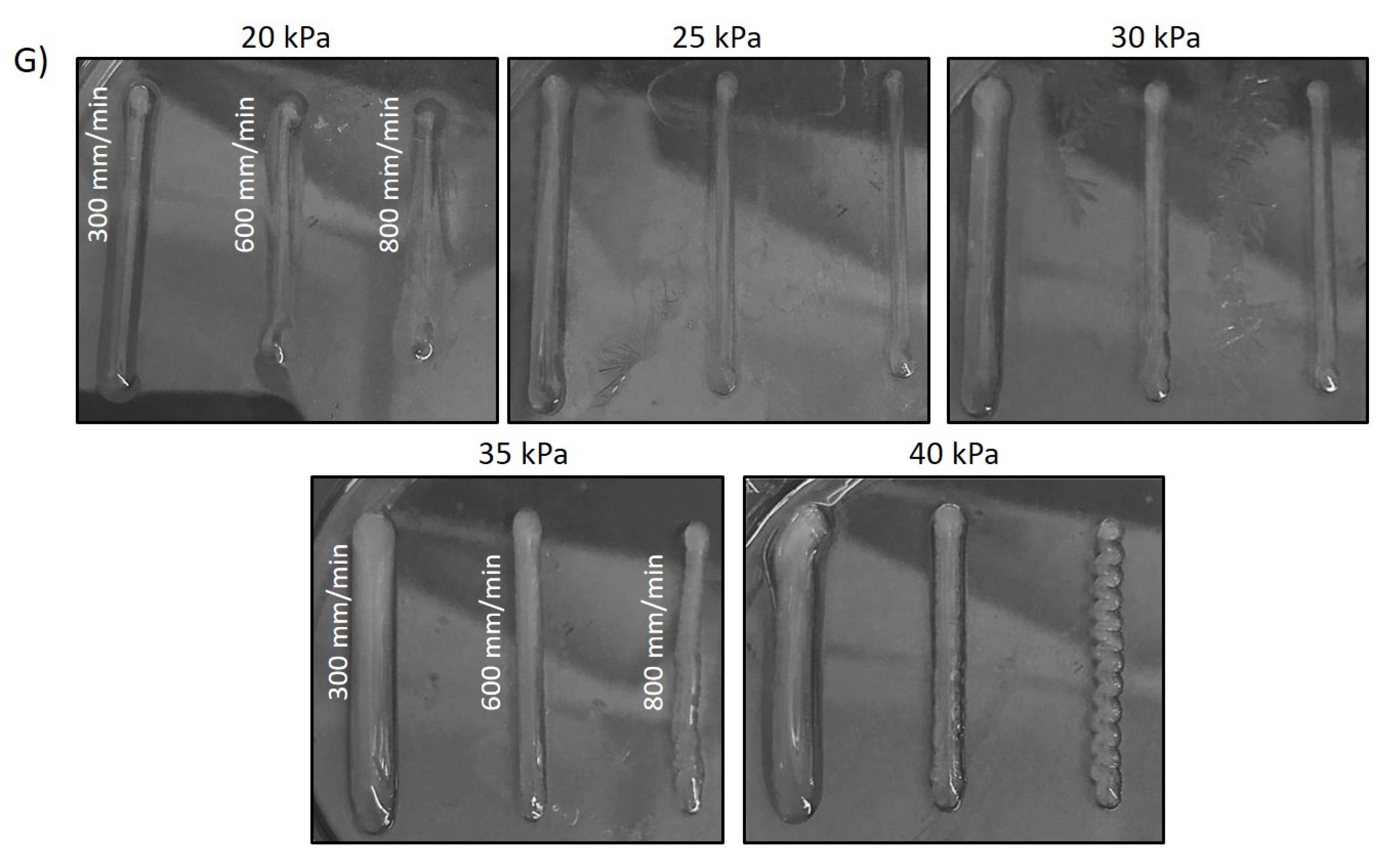 Polymers 14 00650 g008b