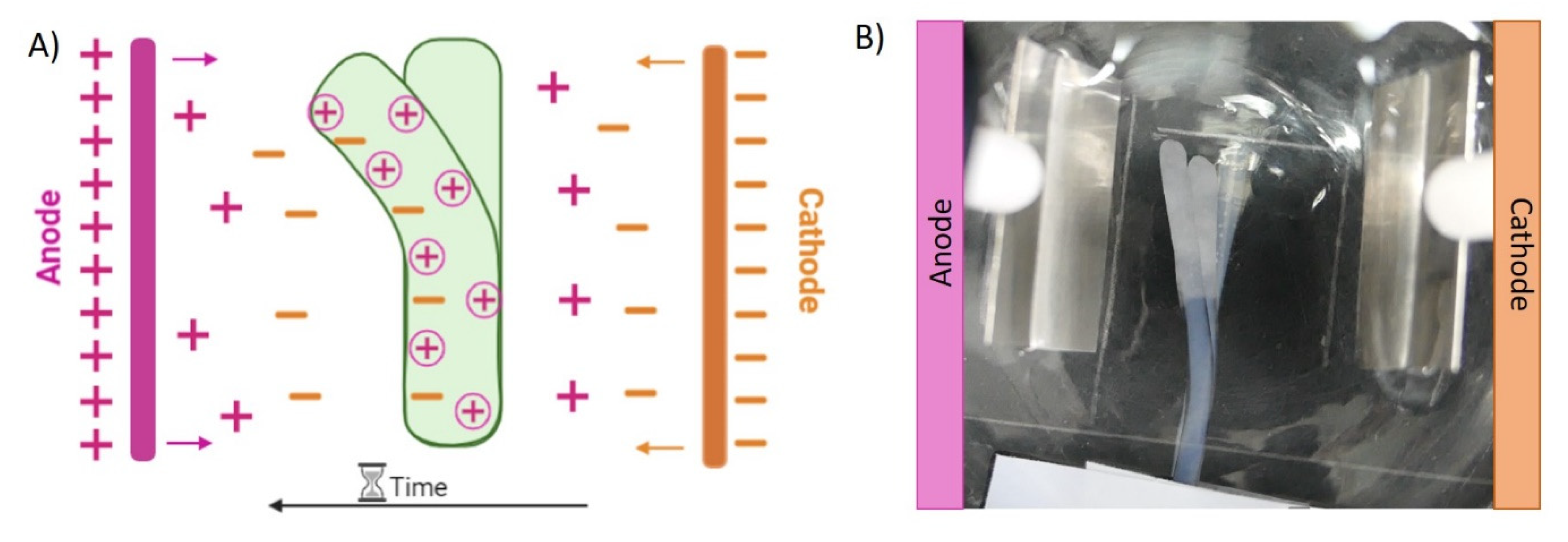 Polymers 14 00650 g010