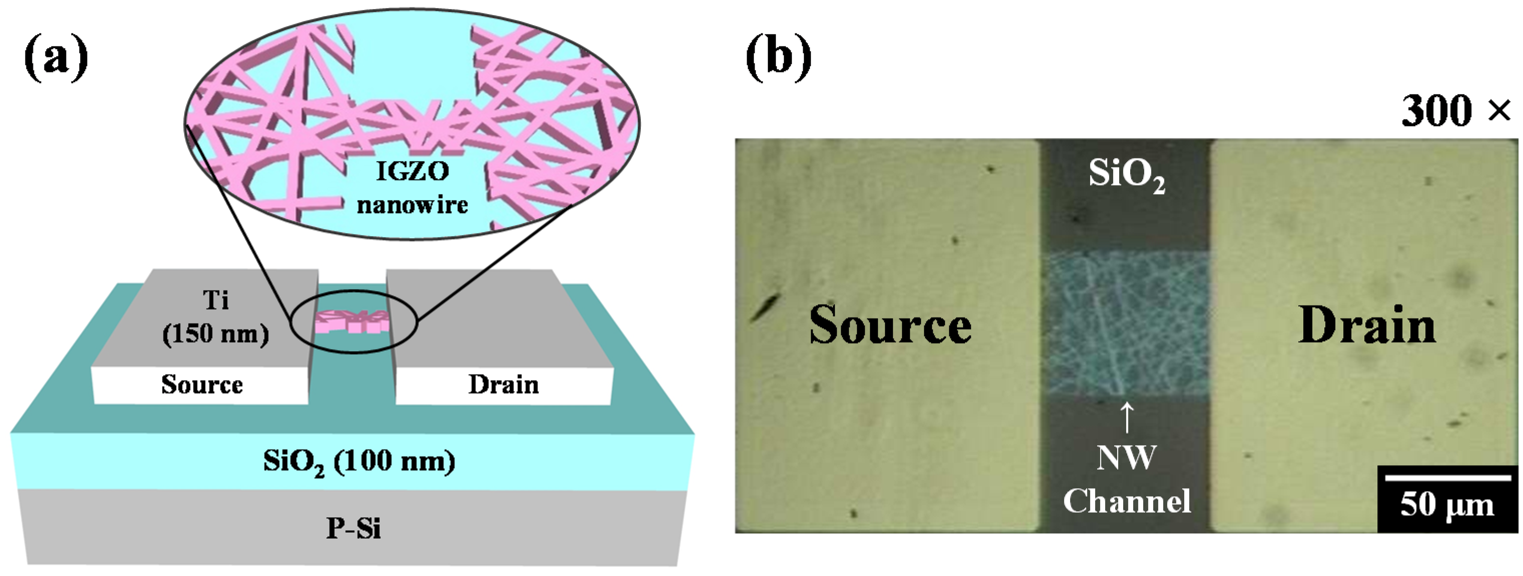 Polymers 14 00651 g002