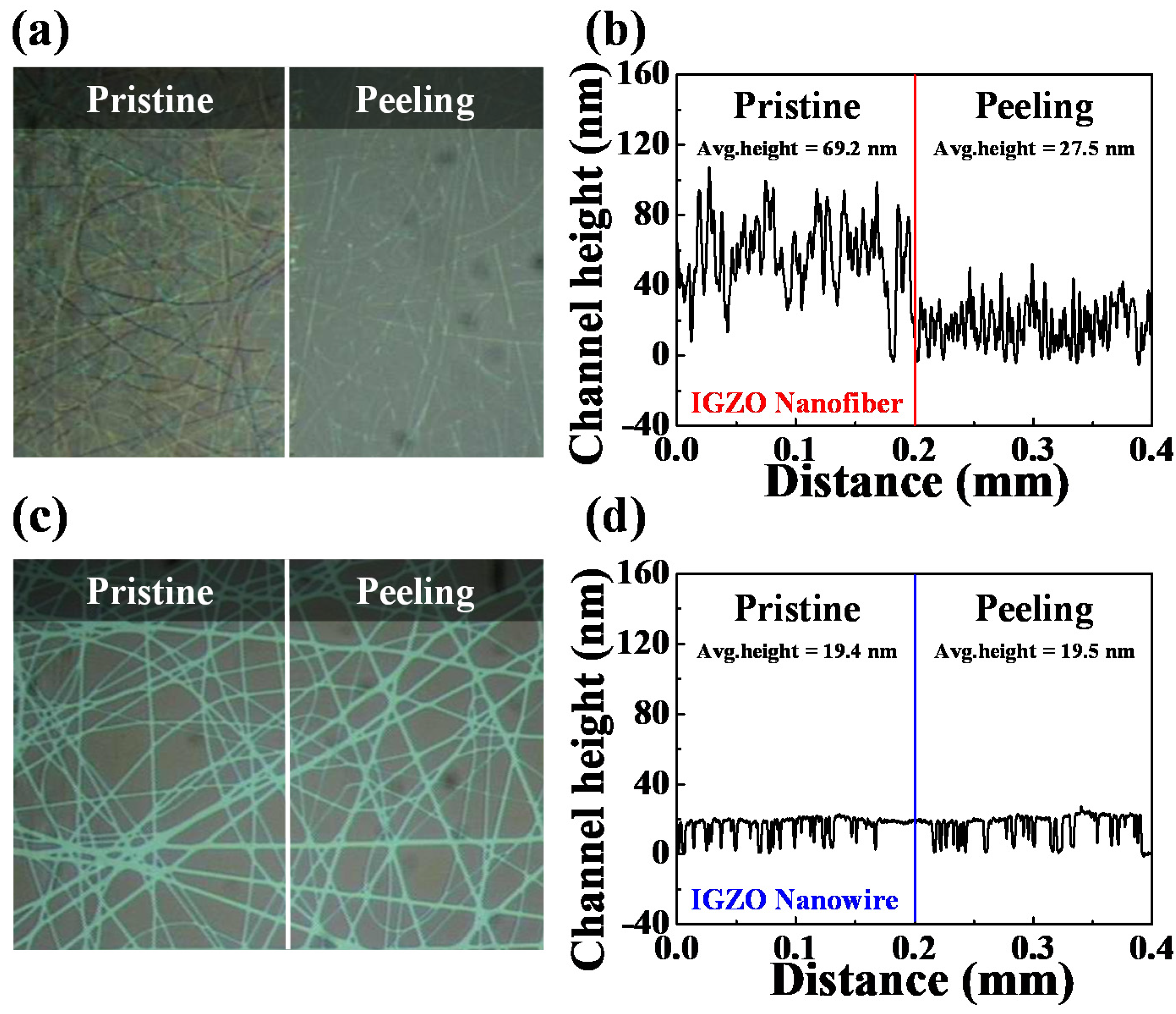 Polymers 14 00651 g004