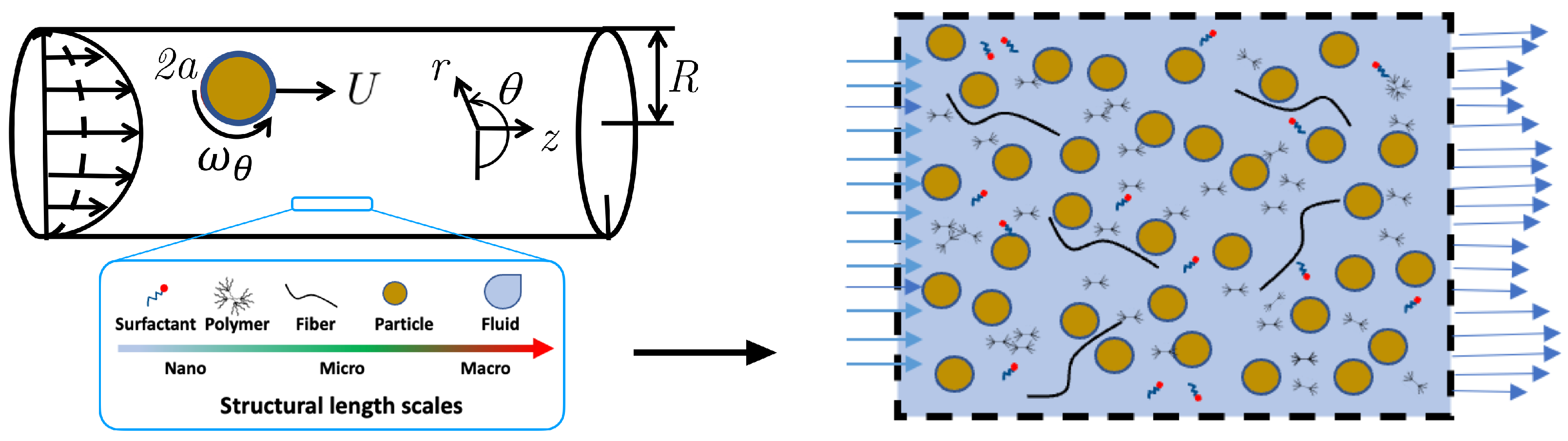 Polymers 14 00657 g001
