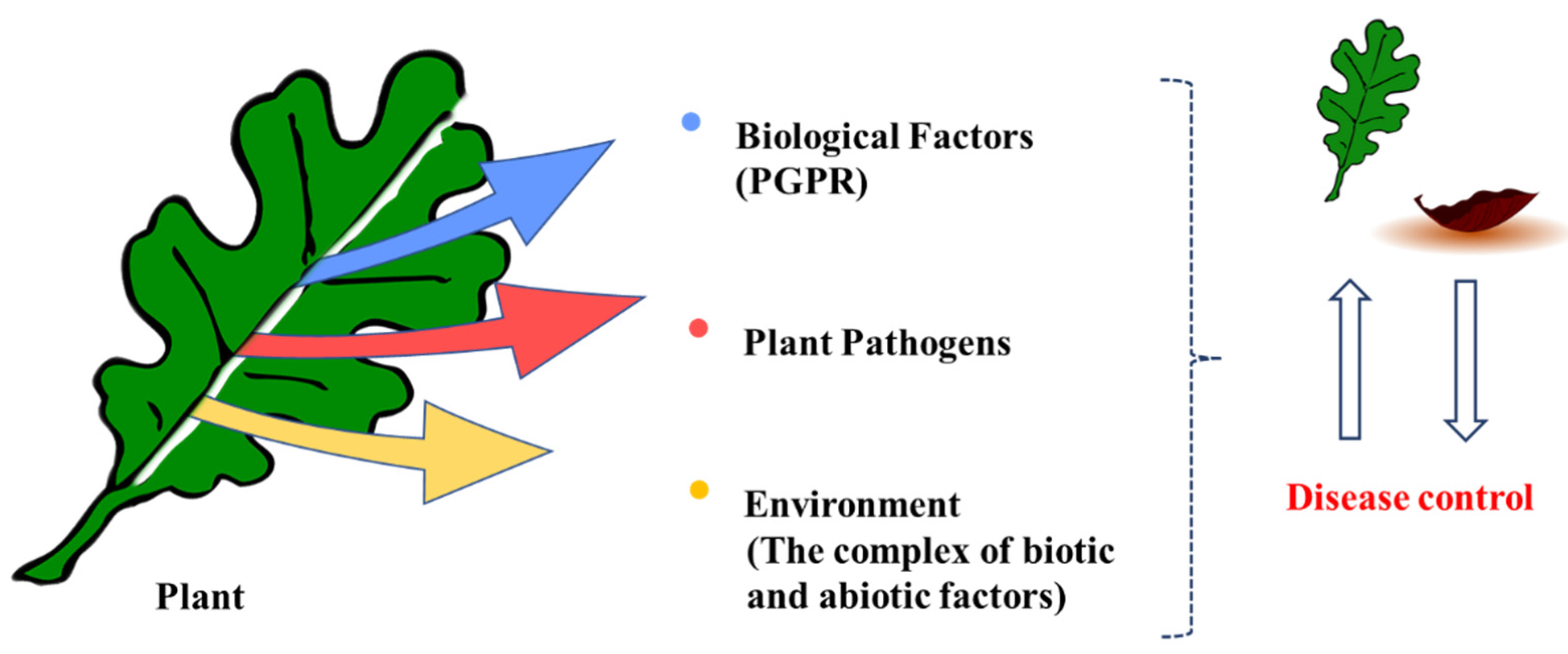 Polymers 14 00661 g001