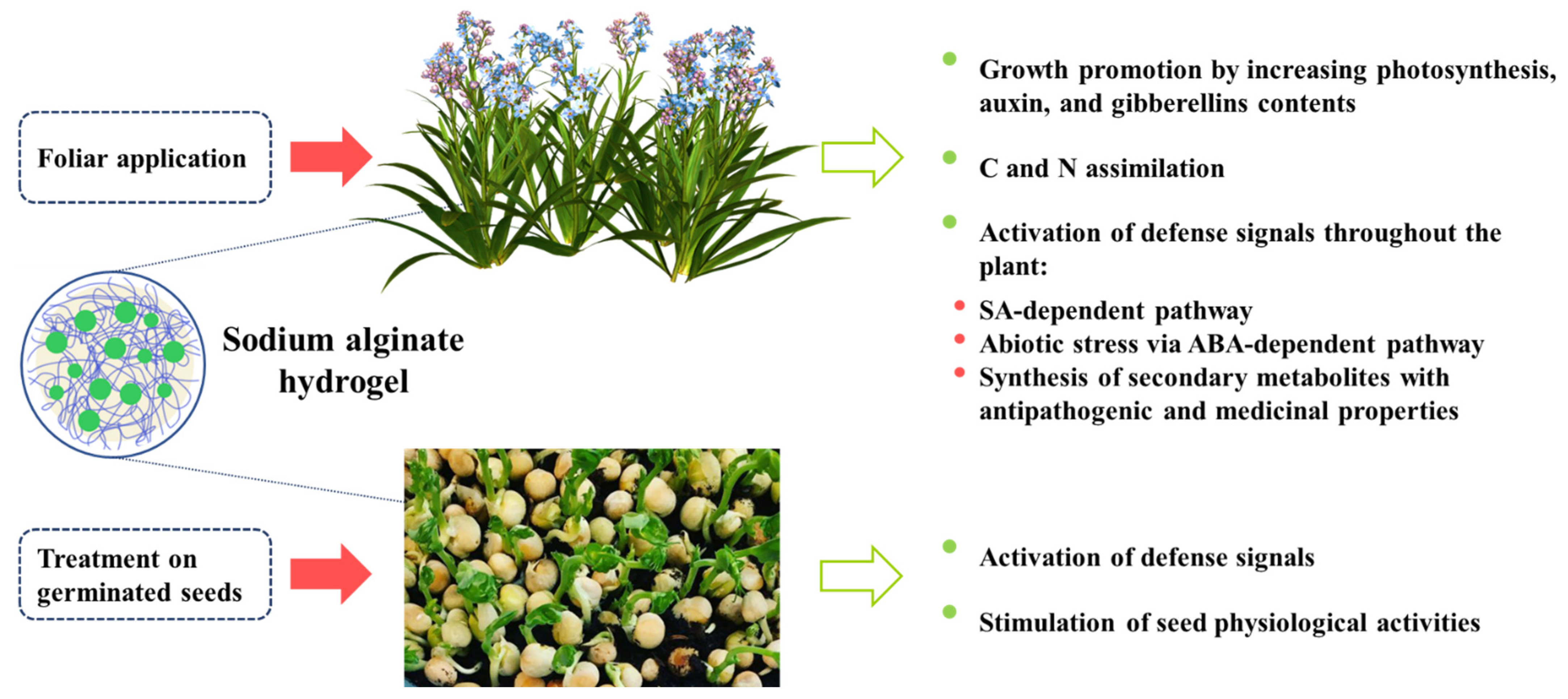 Polymers 14 00661 g004