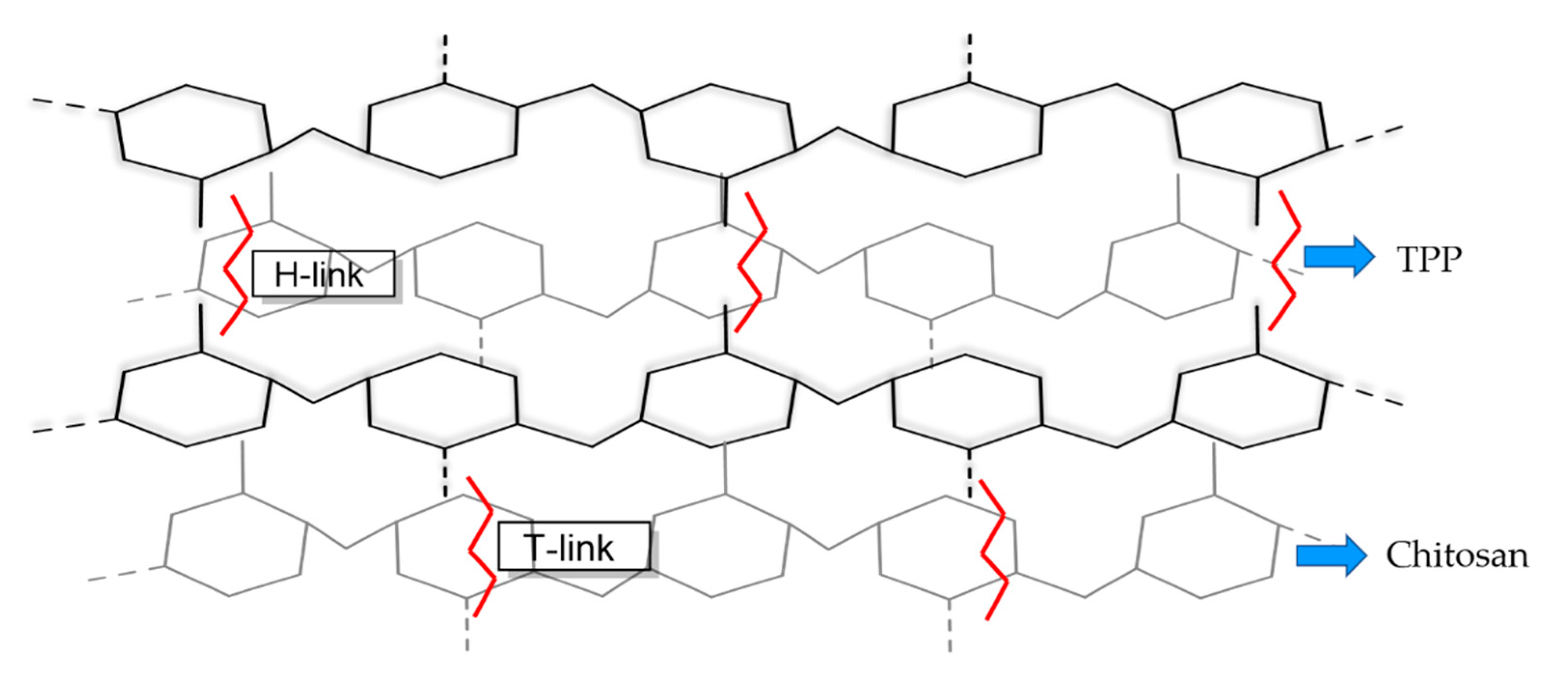 Polymers 14 00662 g002 Polymers 14 00662 g002
