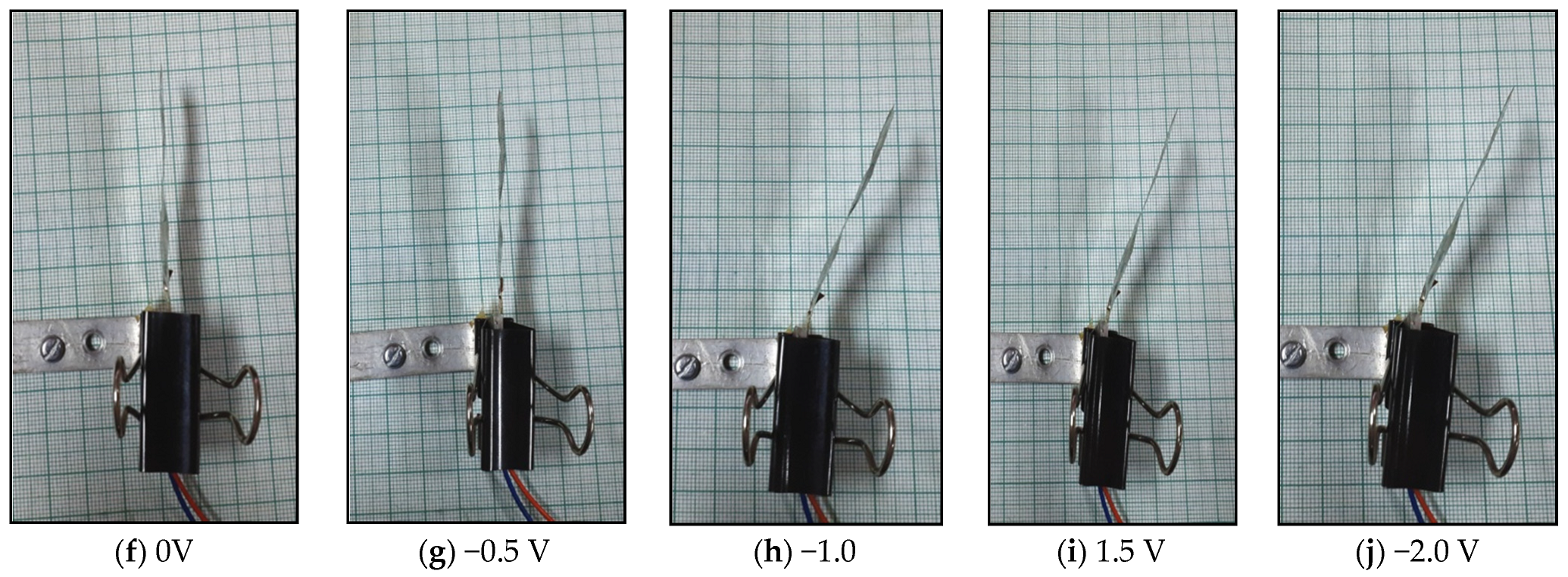 Polymers 14 00668 g006b