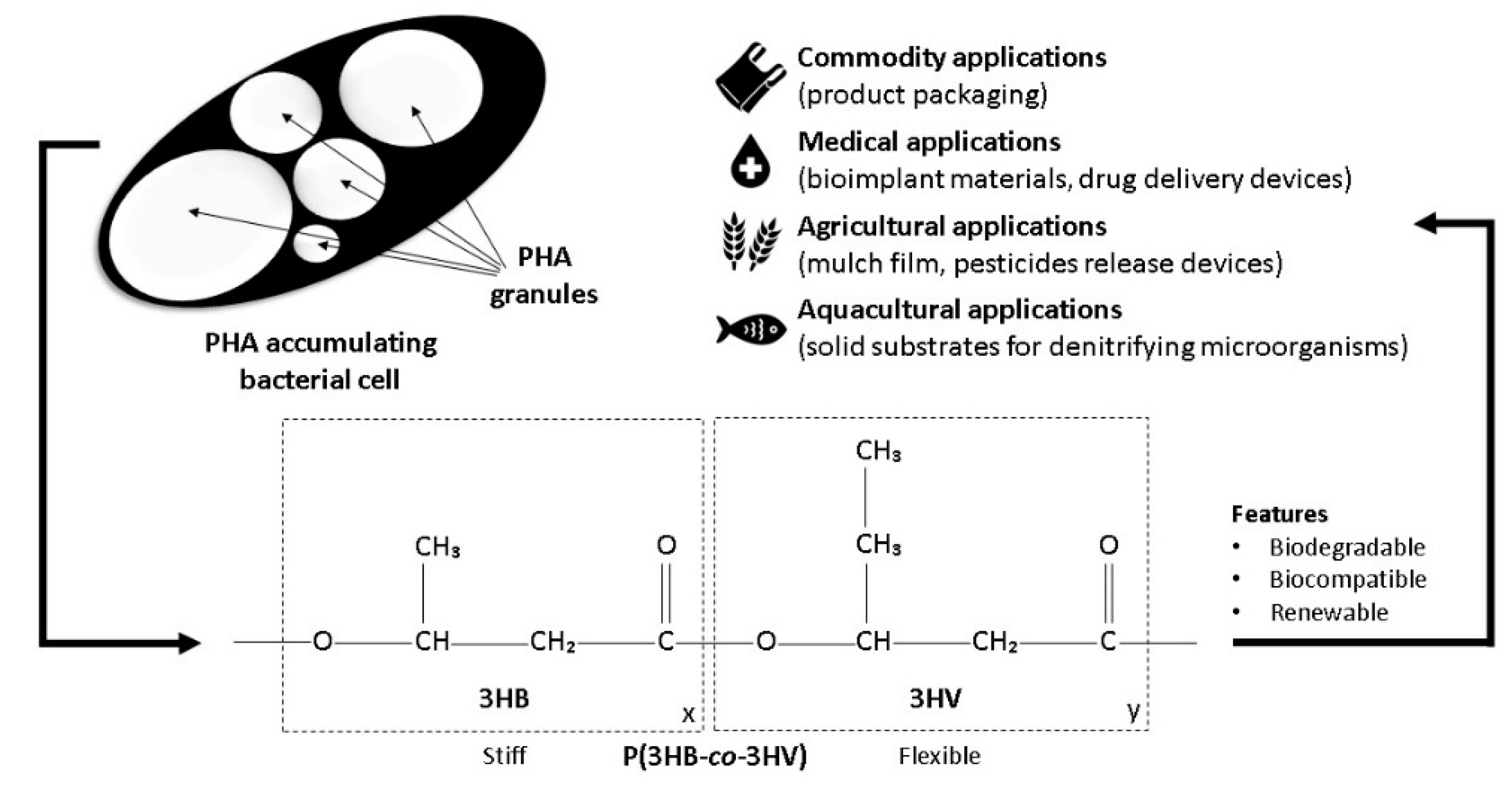 Polymers 14 00670 g001