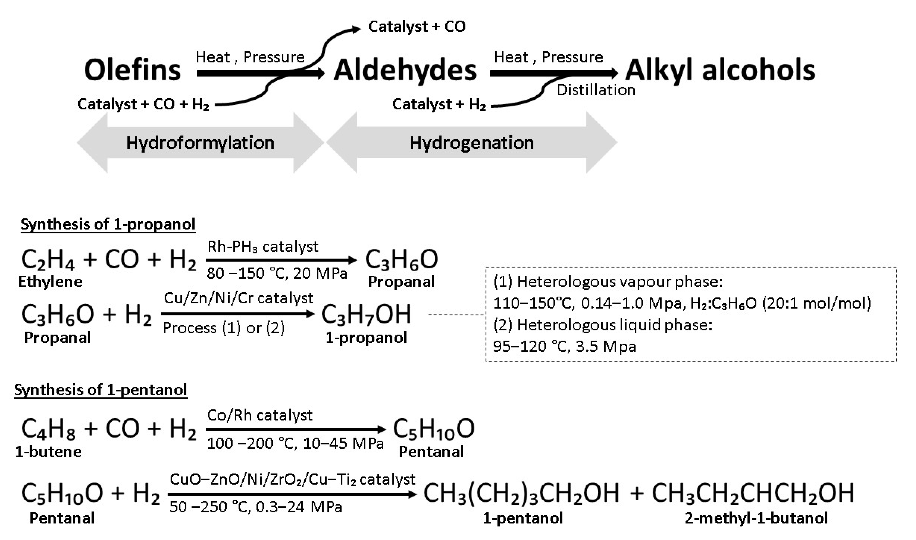 Polymers 14 00670 g004