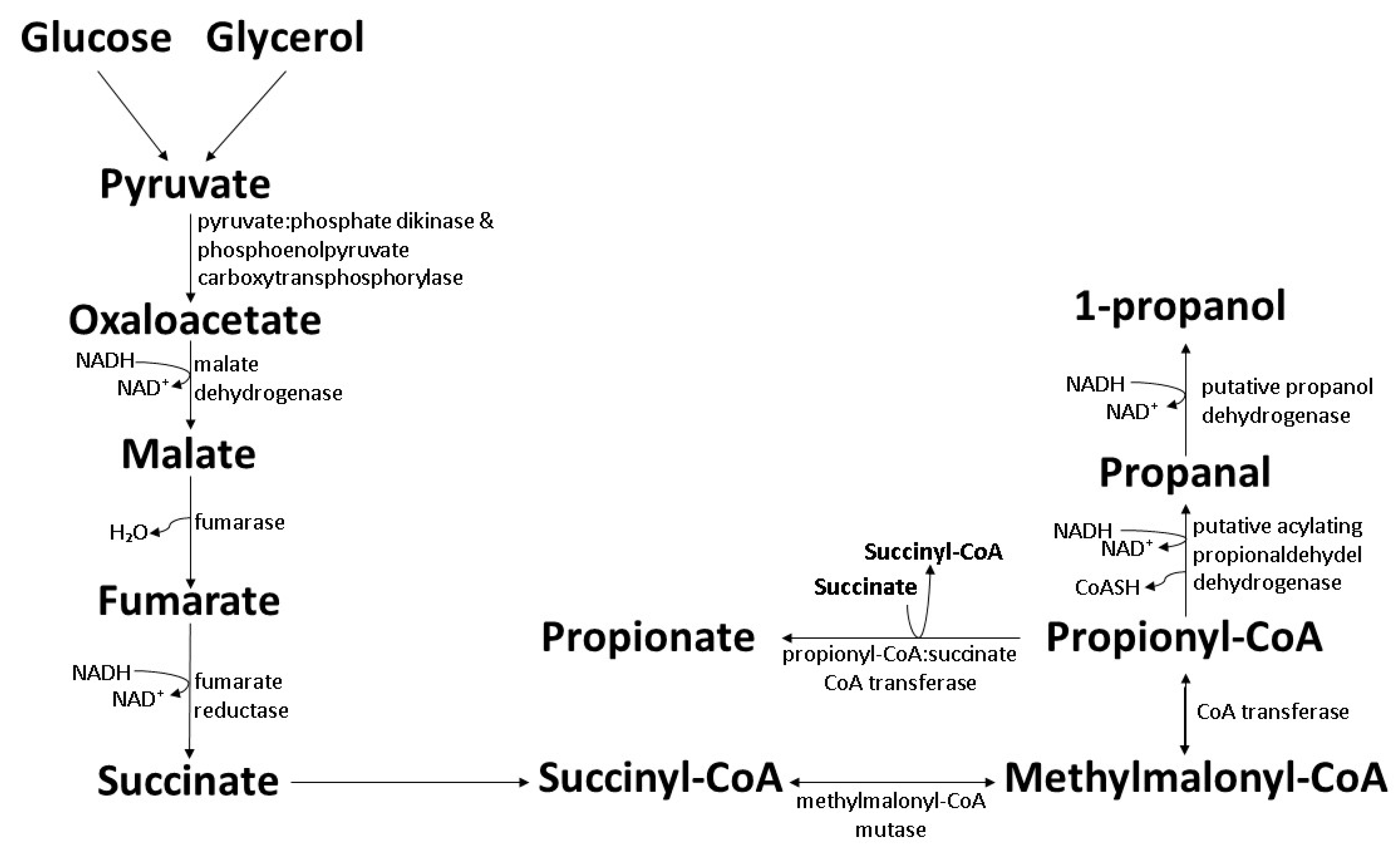 Polymers 14 00670 g005