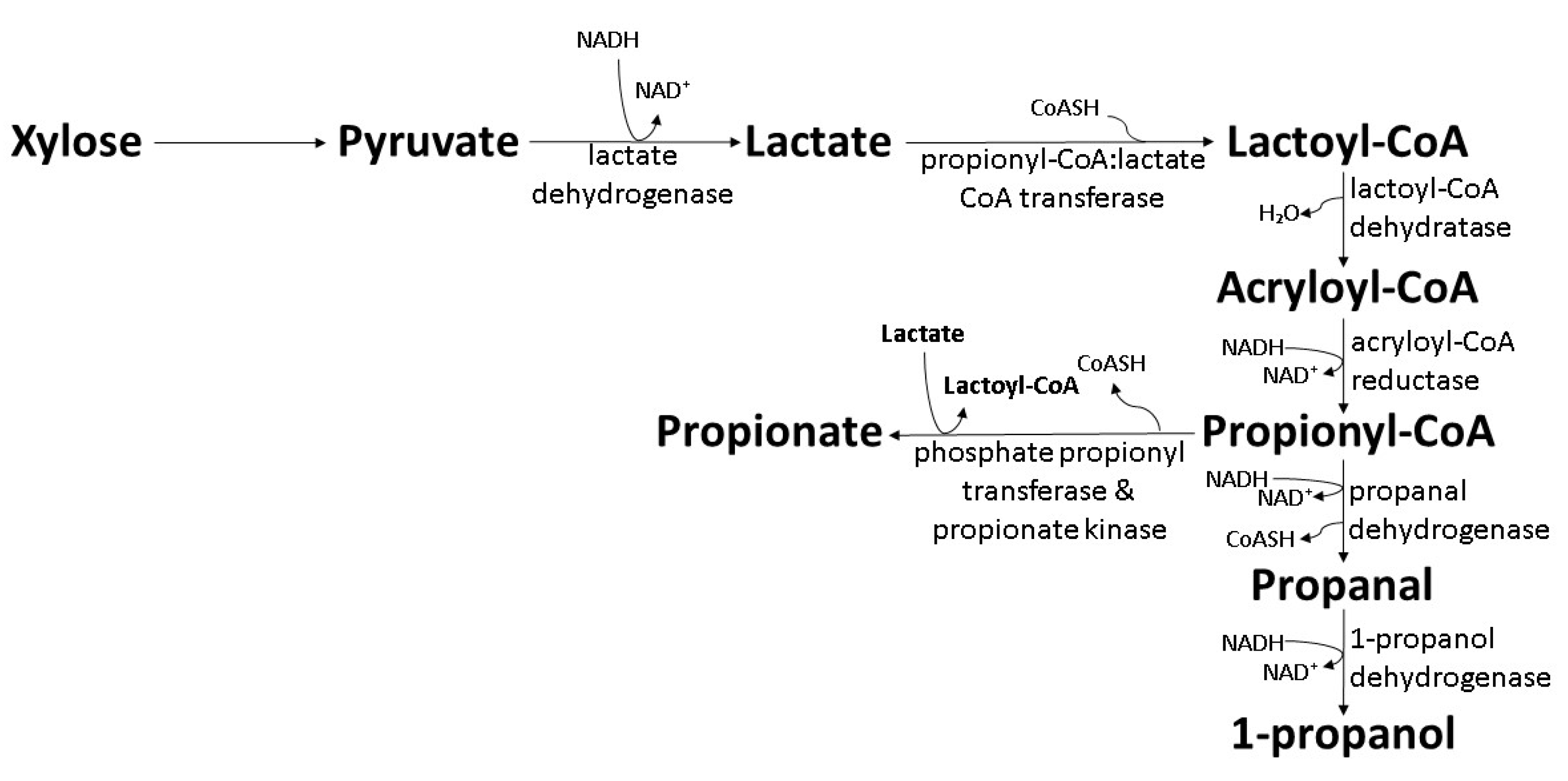 Polymers 14 00670 g006