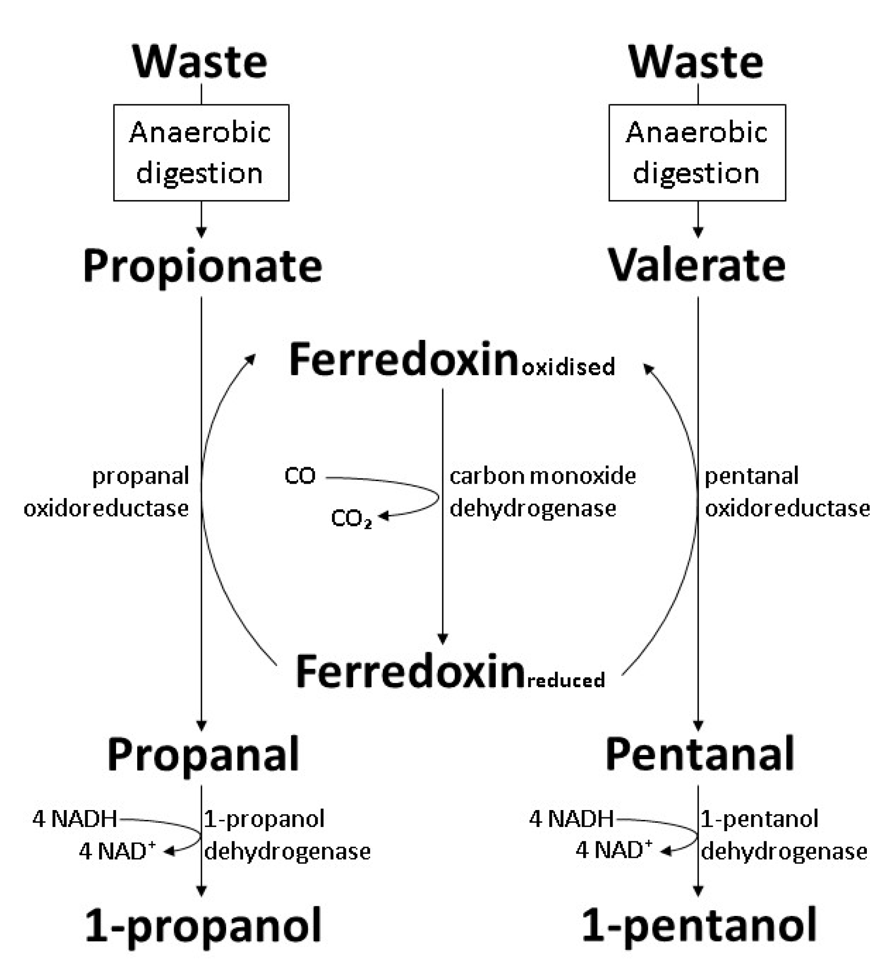 Polymers 14 00670 g007