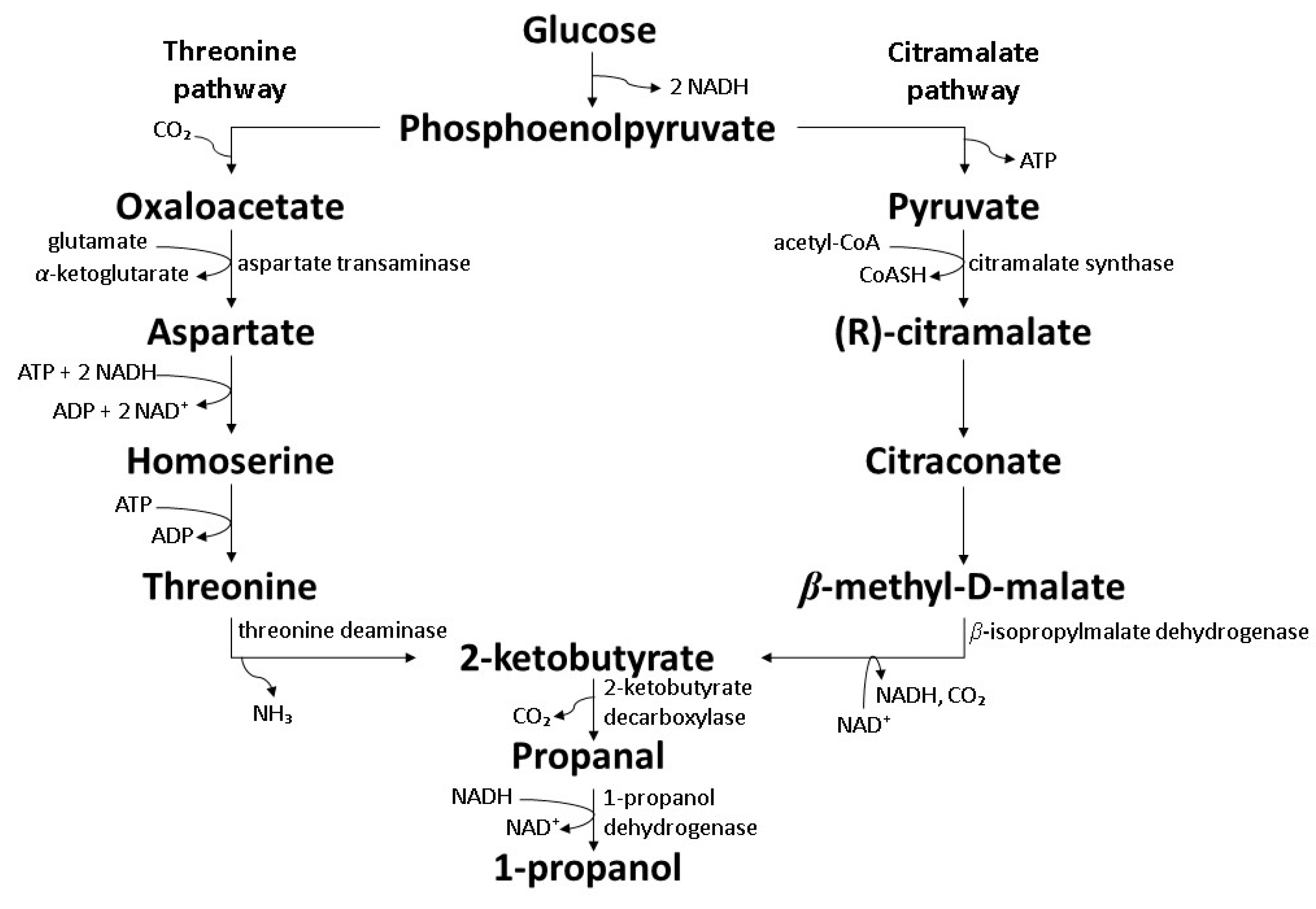 Polymers 14 00670 g008