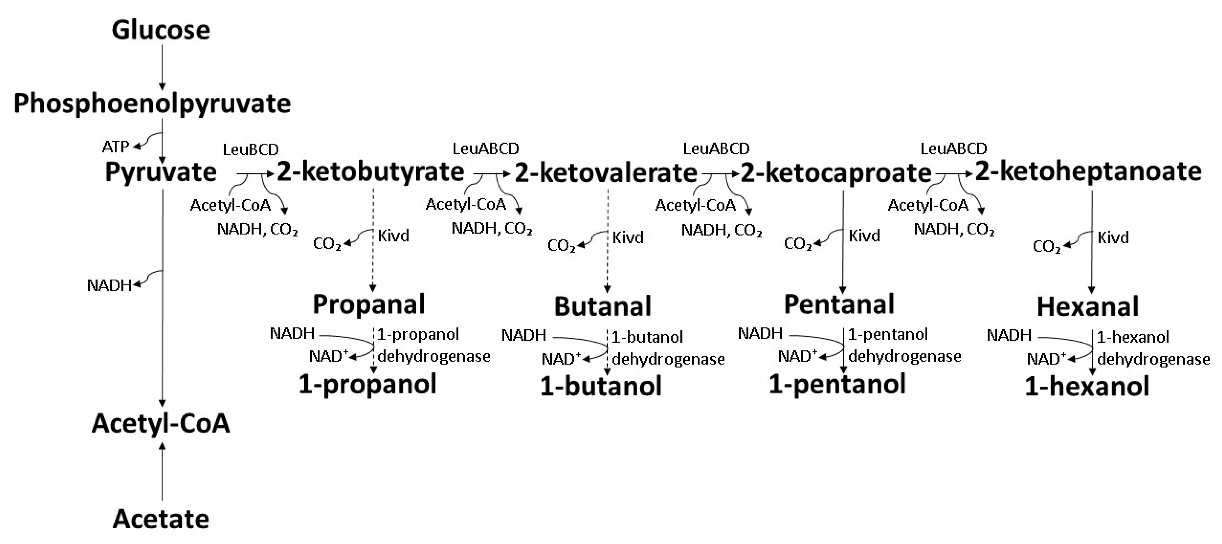 Polymers 14 00670 g009