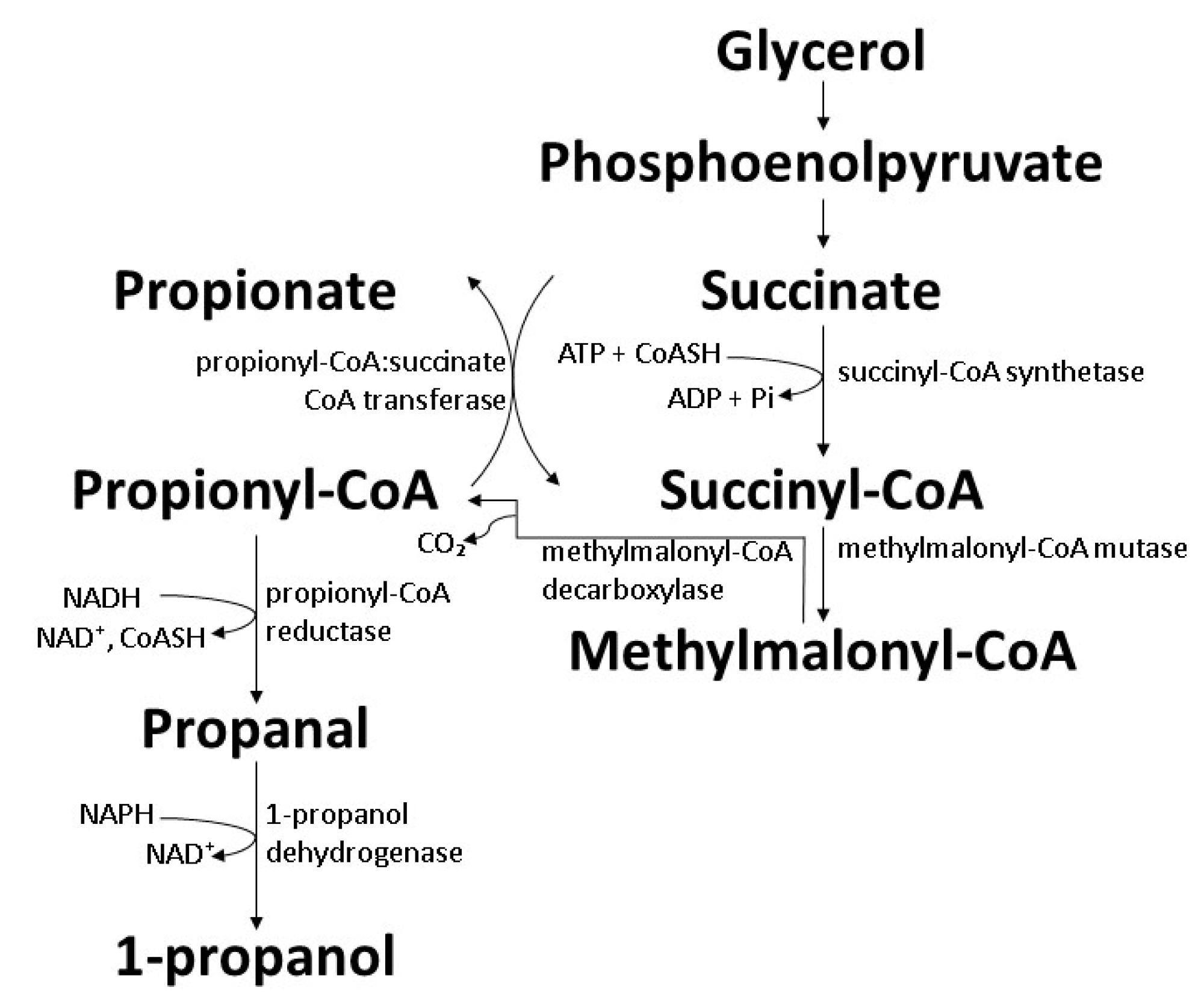 Polymers 14 00670 g010