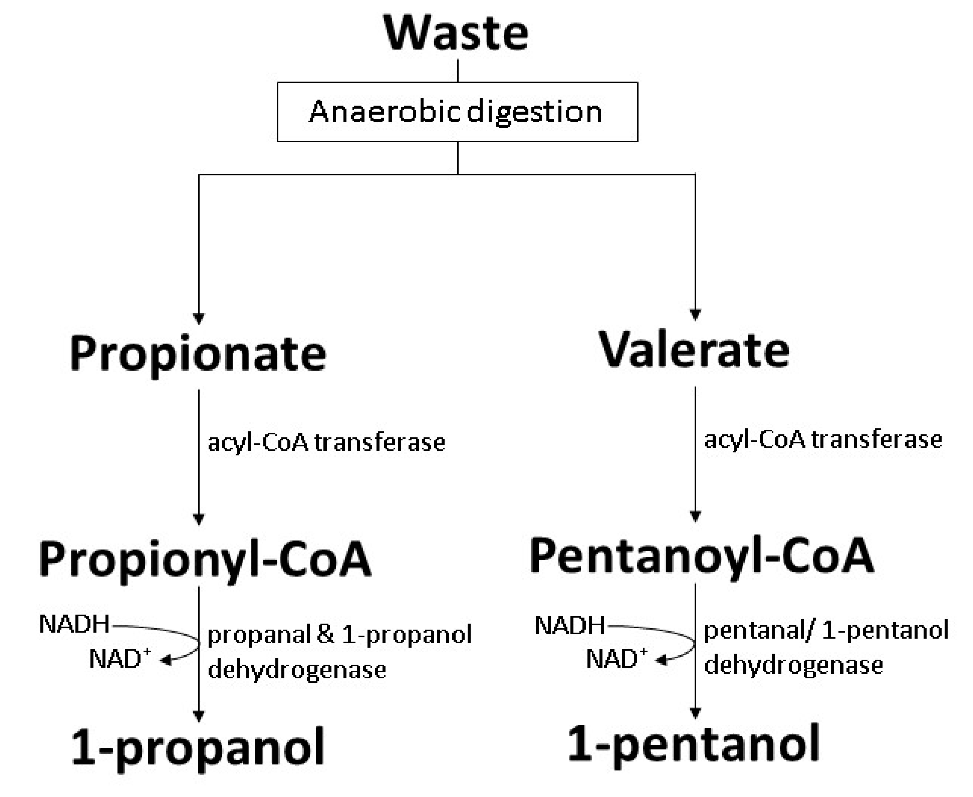Polymers 14 00670 g011